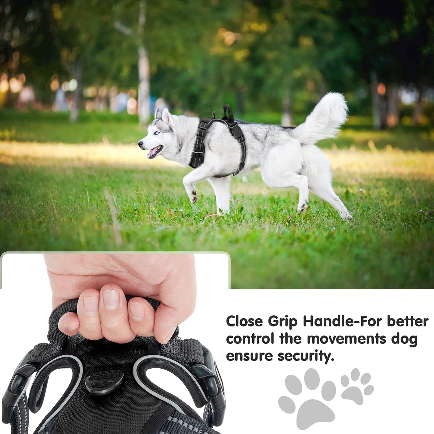 SCENEREAL No Pull Dog Harness and Leash, 360° Reflective Adjustable Soft Padded Pet Vest with Heavy Duty 5ft Dog Leash and 3 Safety Buckles, Easy Control for Medium to Extra Large Dogs Fashion