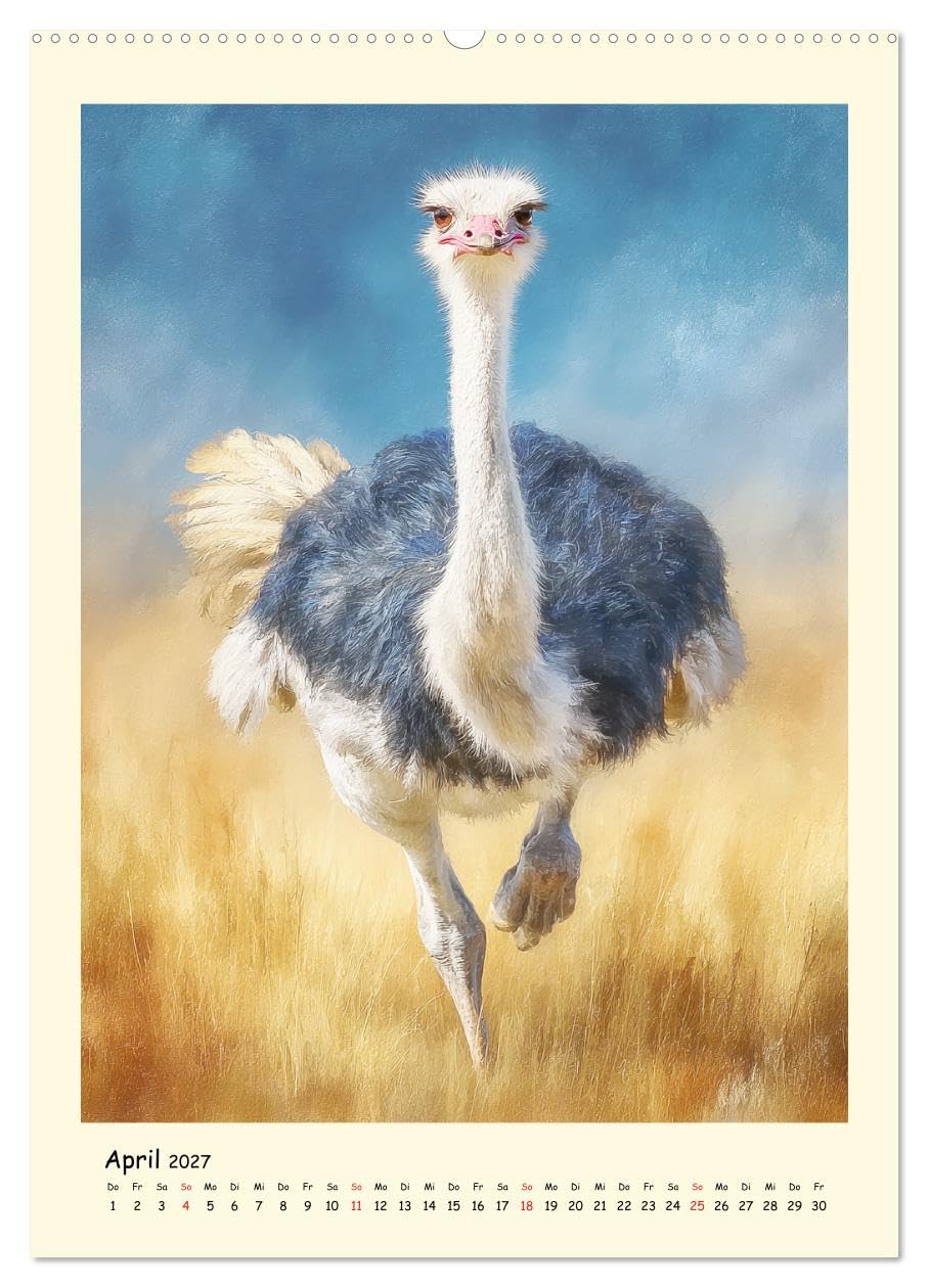 Strauße. Afrikas große Laufvögel in Aquarelloptik (Wandkalender 2027 DIN A2 hoch), CALVENDO Monatskalender: Die majestätische Ruhe und dynamische ... in schönen Illustrationen (CALVENDO Tiere)