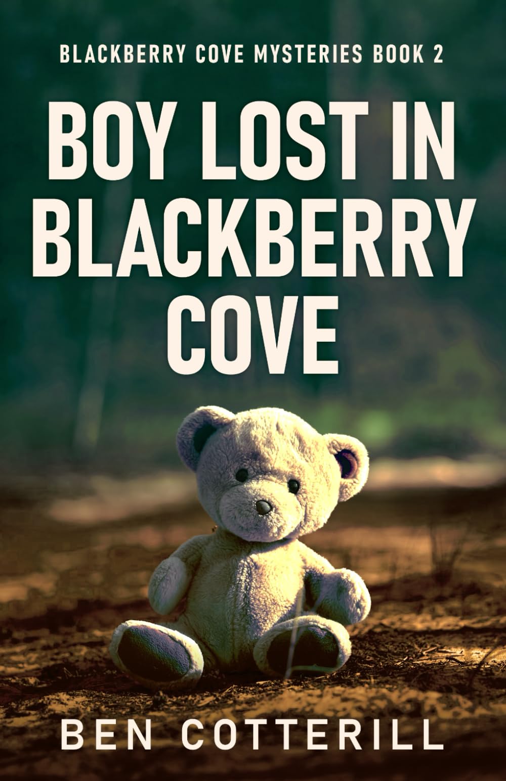 Boy Lost in Blackberry Cove (Blackberry Cove Mysteries)