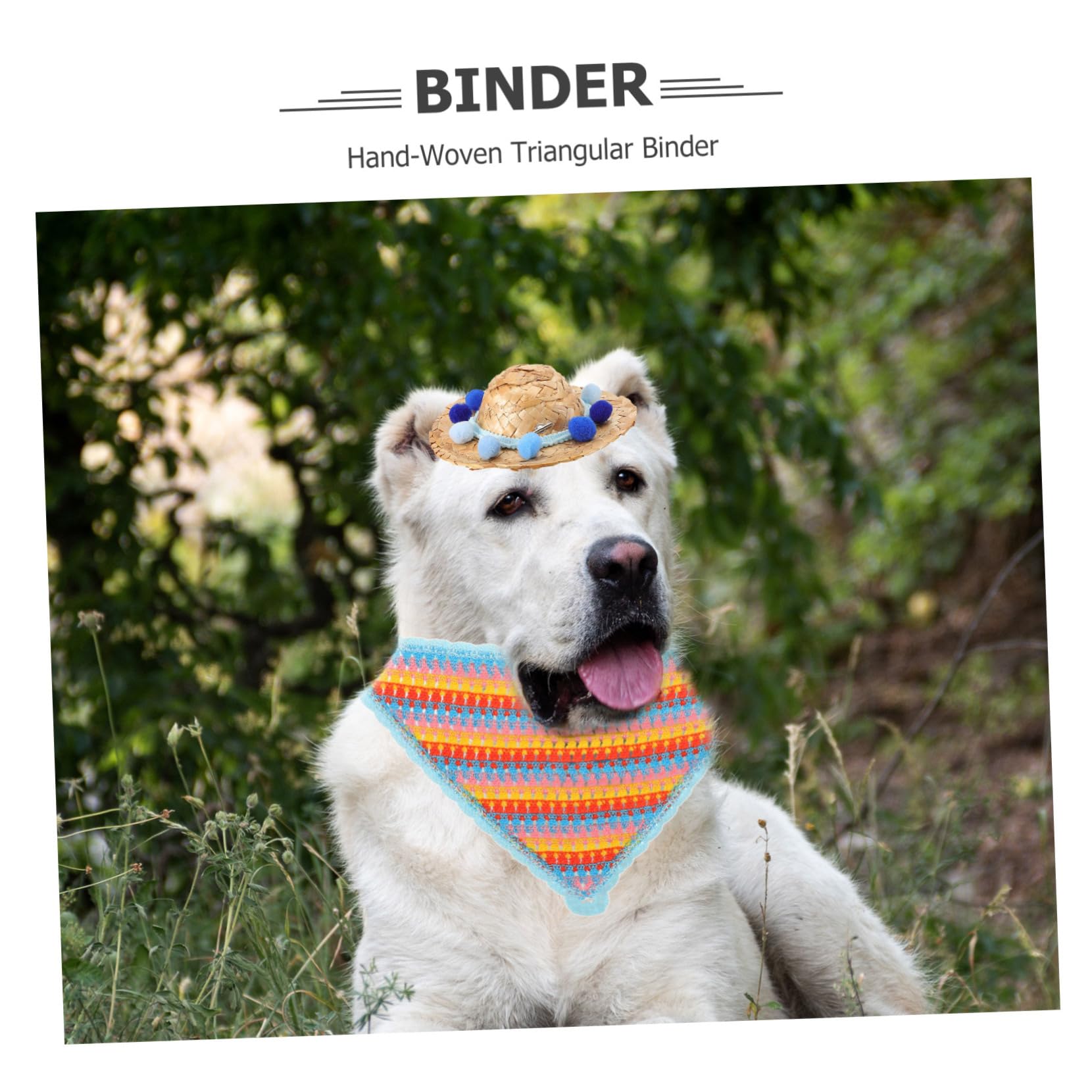 POPETPOP Chapeau pour Chien avec Coiffe Et Bandana Accessoire Photo Élégant pour Fête Danniversaire