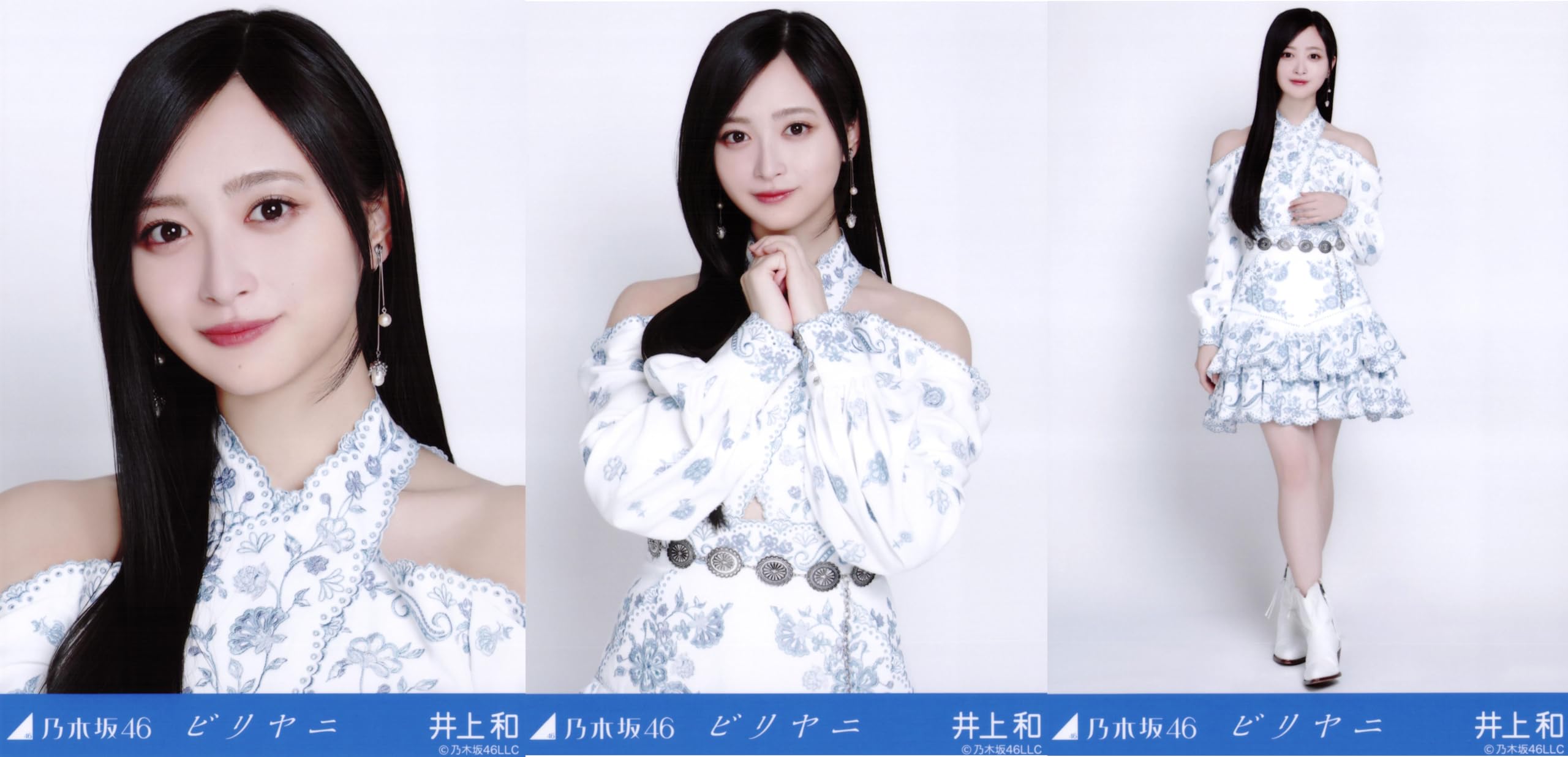 Amazon.co.jp: 乃木坂46 生写真 ビリヤニ 3種コンプ 井上和 : おもちゃ