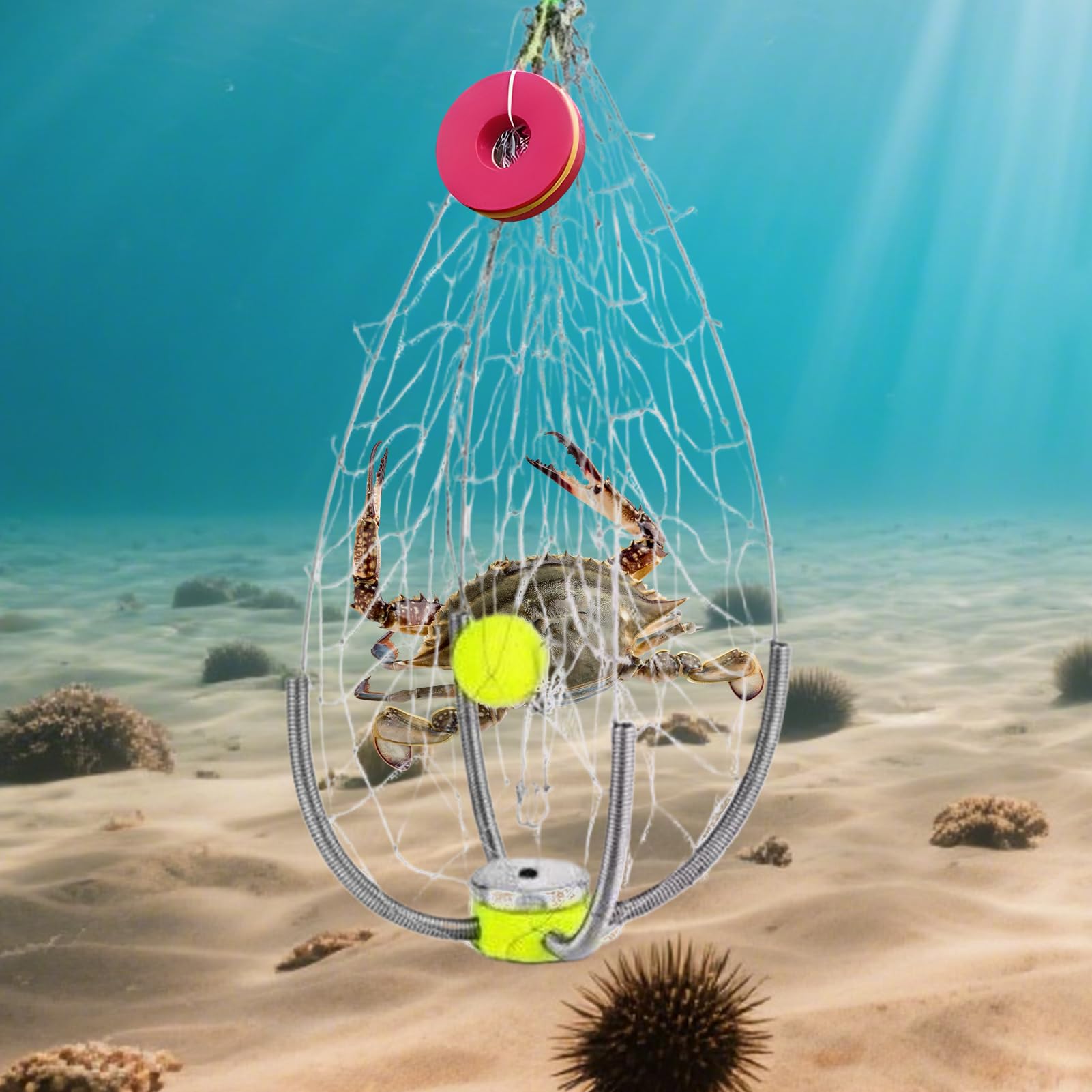 Trappola Granchi | Gabbia da in Acciaio Trappola Ceste per Pesci - Gabbia Pesata Per Gamberi Aragoste Pesciolini Acqua E Salata | Per Kayak Spiaggia Lago Pontile
