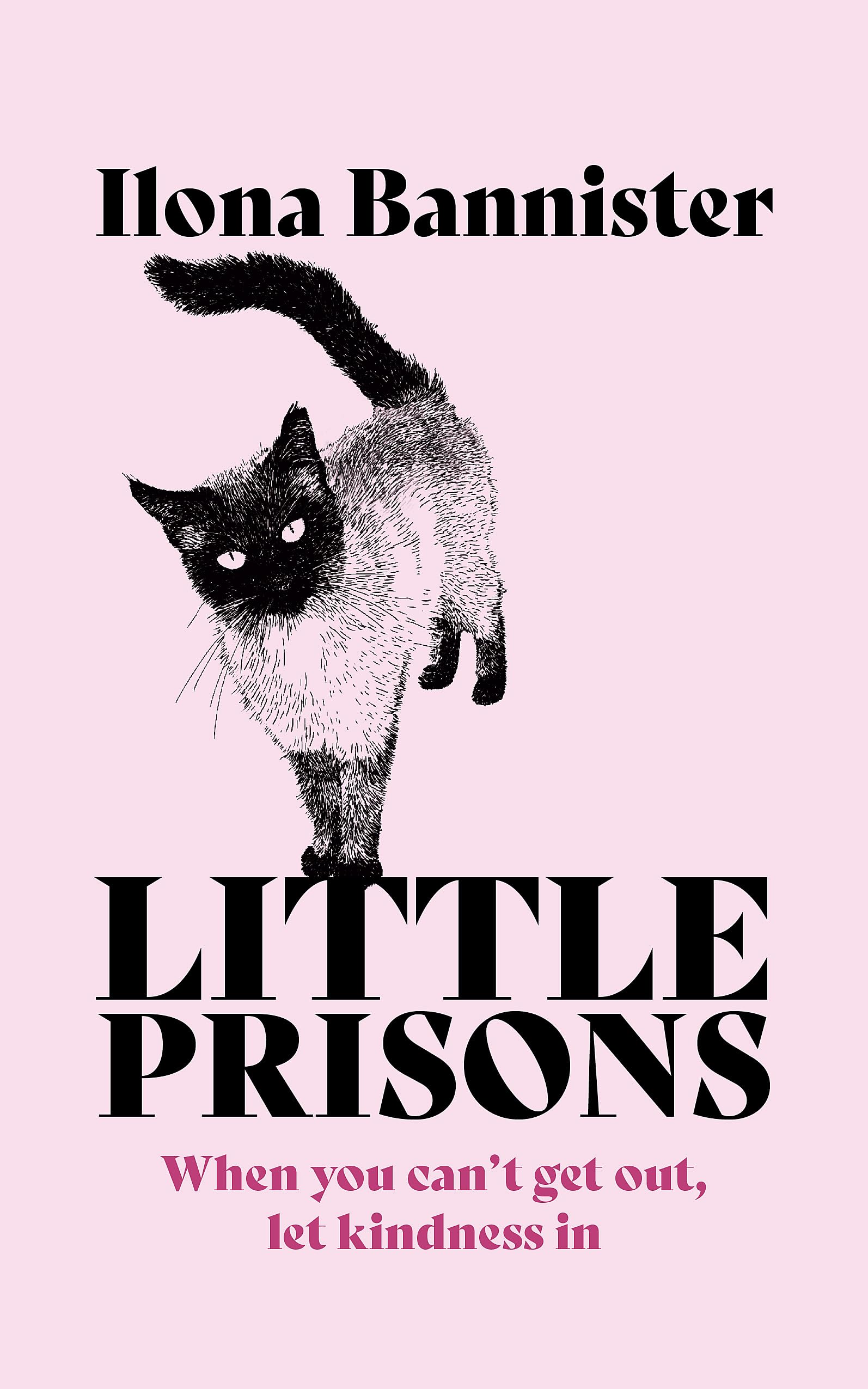 Little Prisons by Ilona Bannister PAPERBACK 9781529353921