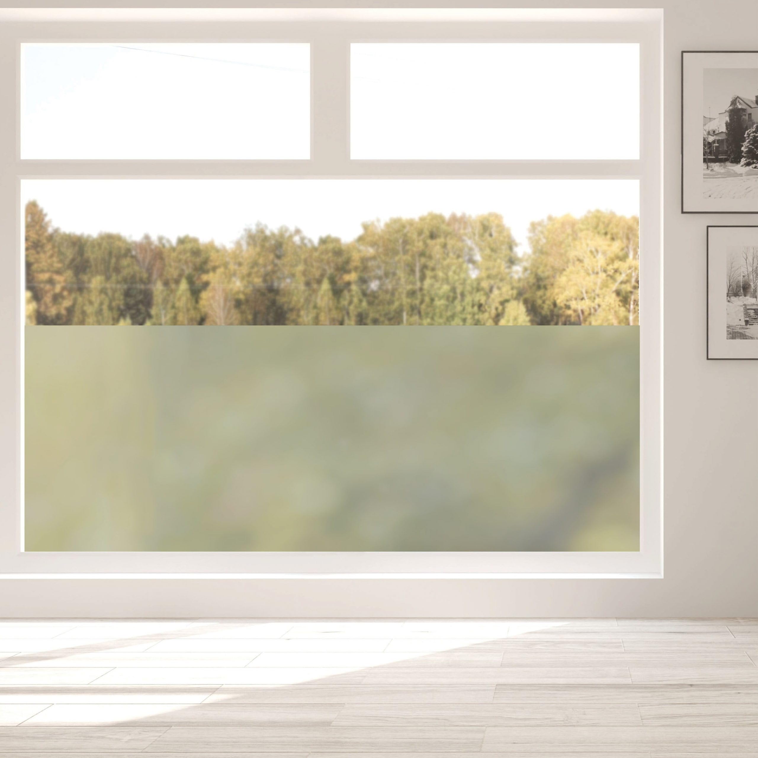 Wandtattoo-Loft Sichtschutzfolie Fensterfolie innen Milchglasfolie Sichtschutz Wiederverwendbar Lichtdurchlässig, 55 cm, 150 cm