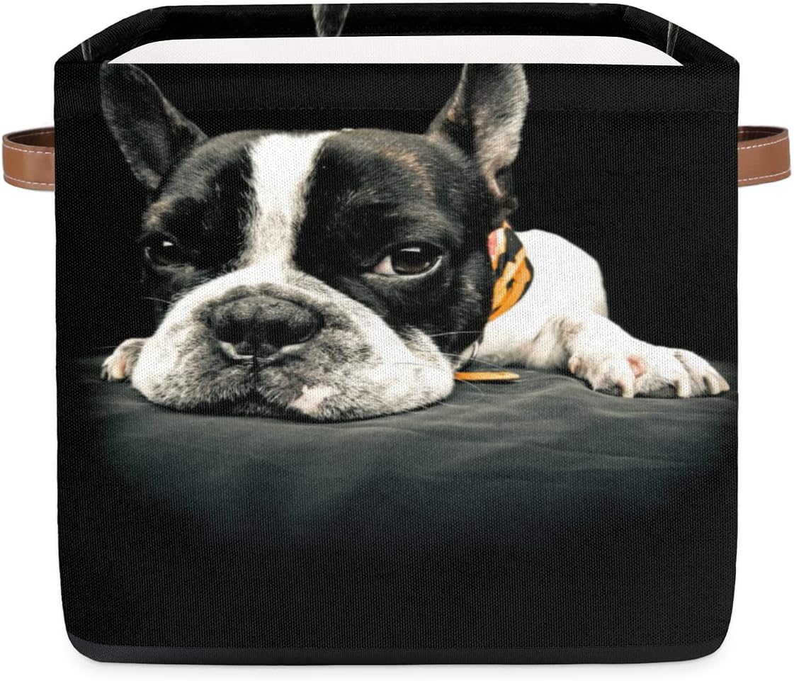 French Bulldog Cube Storage Organizer Bins 13x13 Black