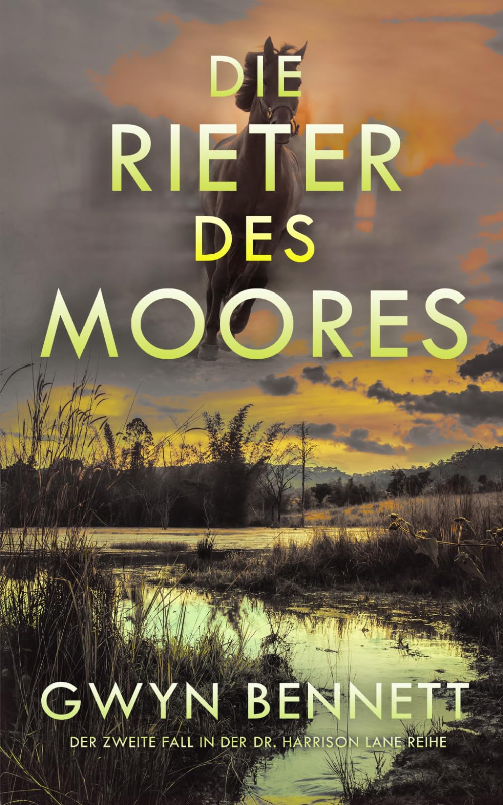 Die Reiter des Moores: Der zweite Fall in der Dr. Harrison Lane Reihe
