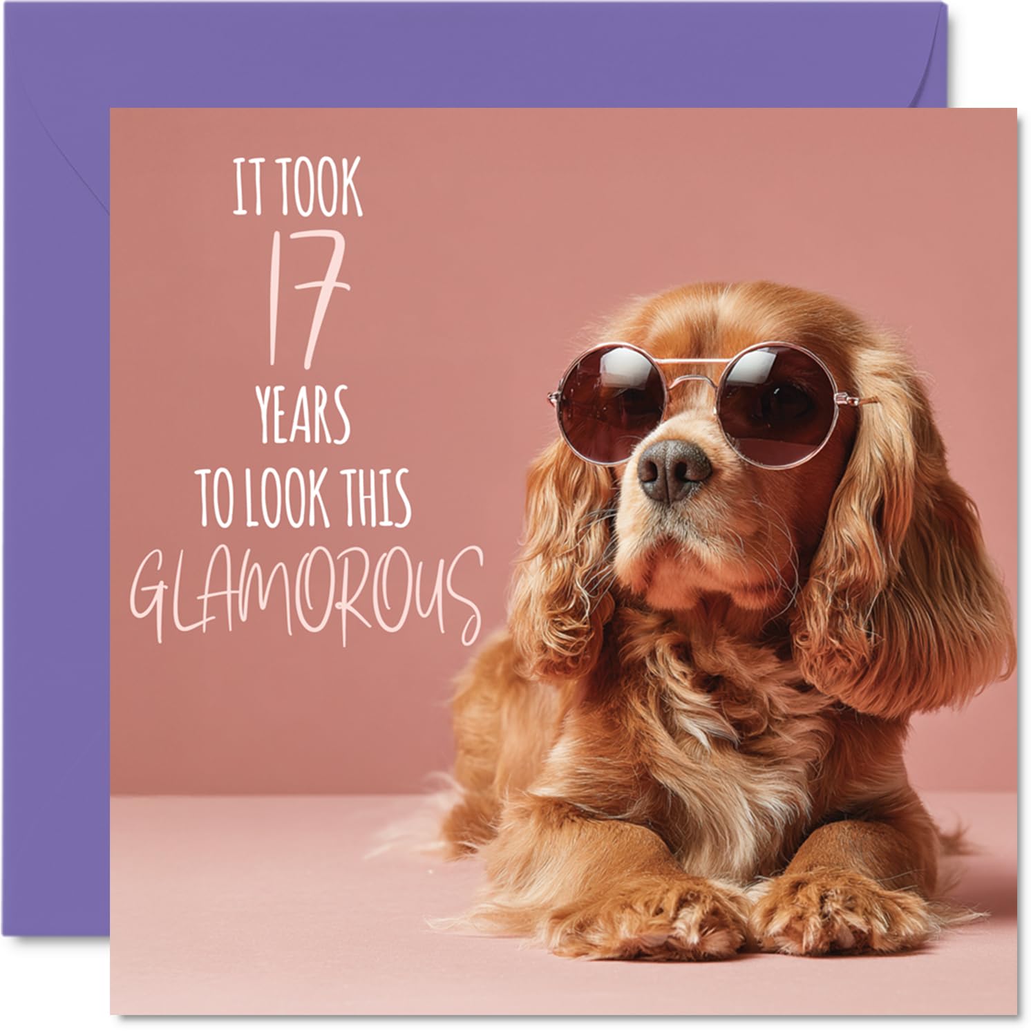 17th Birthday Cards for Girls - Glamorous Puppy - Happy Birthday Card for 17 Year Old Girl Great Niece Niece Daughter Step Daughter, 145mm Bday Greeting Cards
