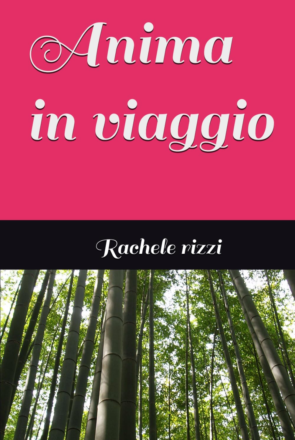 Anima in viaggio