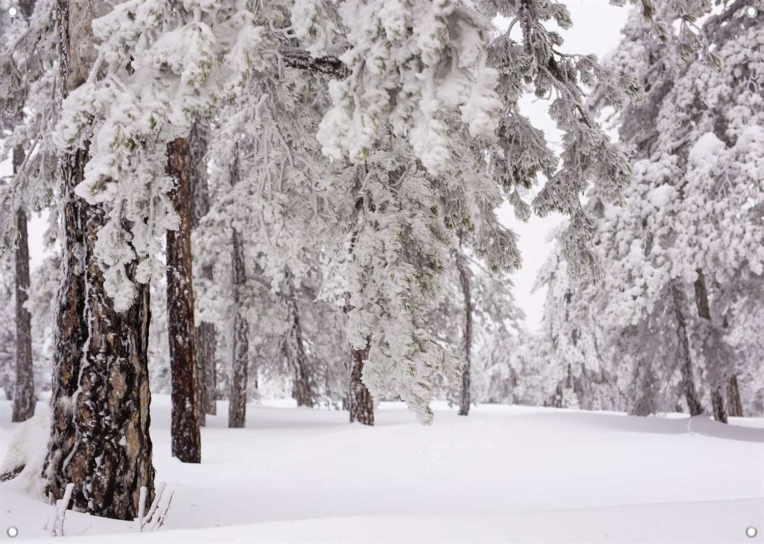 BELECO 12x8ft Fabric Winter Wonderland Backdrop Snow