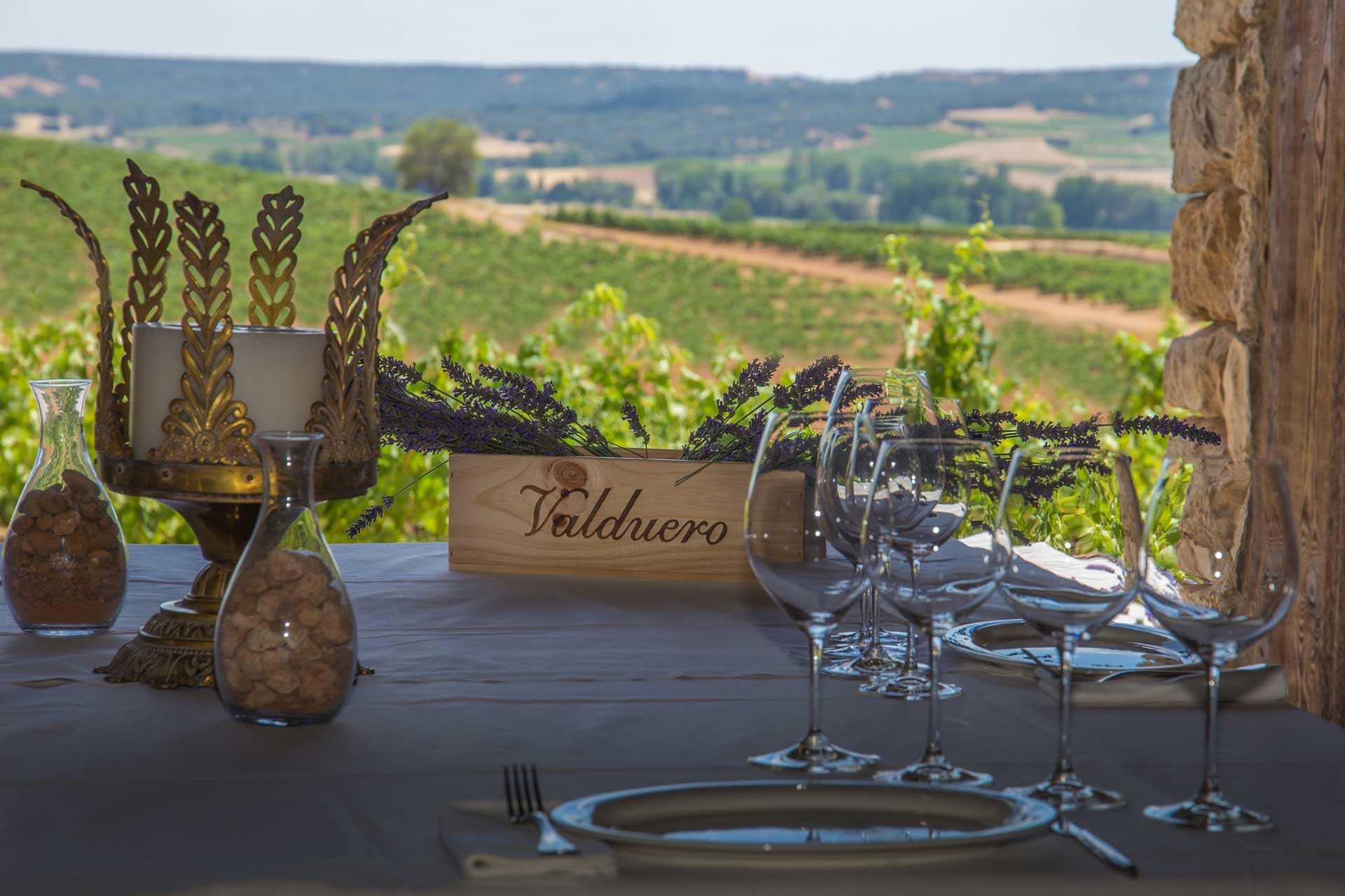 Valduero Una Cepa - Envío Gratis 24 H - 3 Botellas x 75 cl - Vino Regalo - Lote Seleccionado y Enviado por cosecha Privada