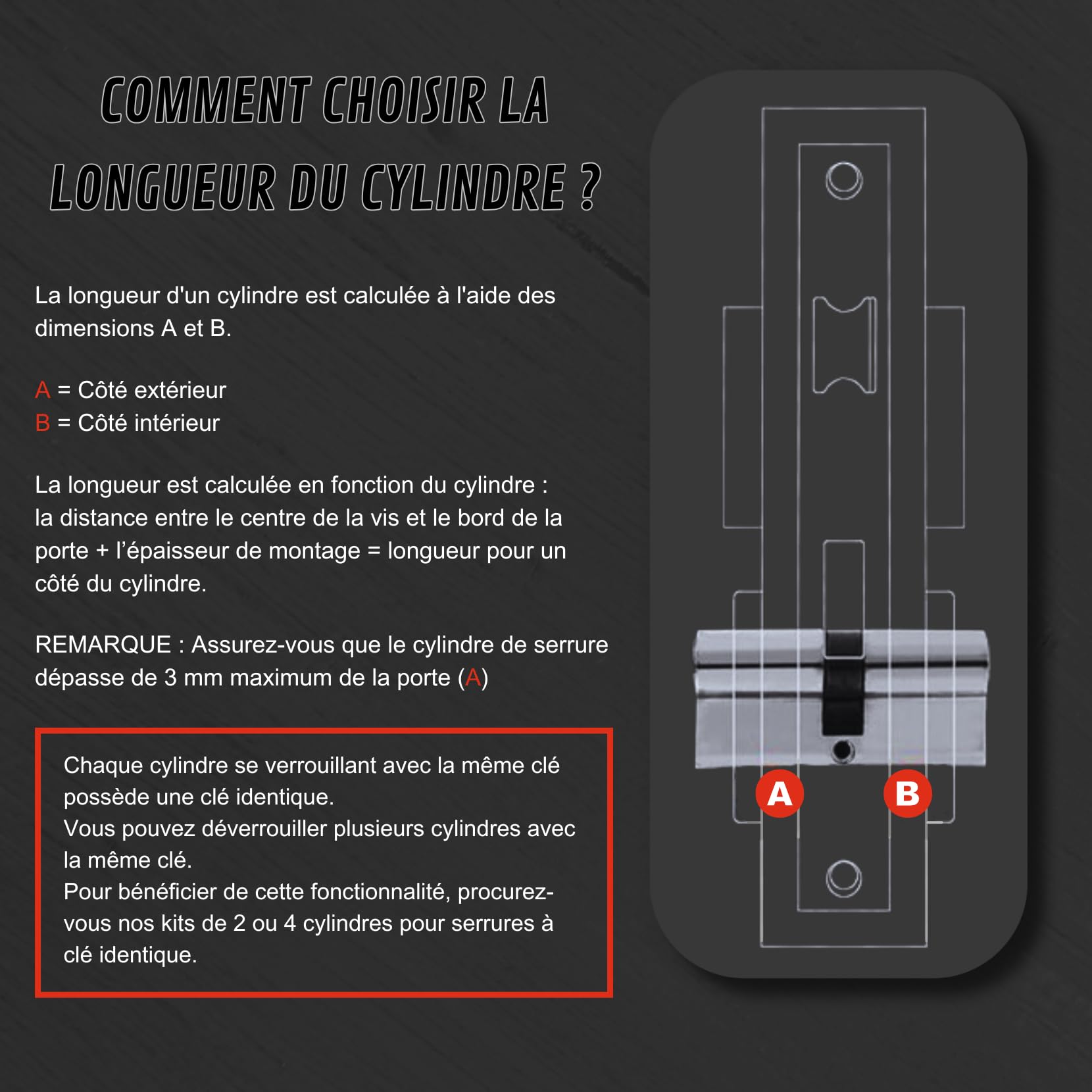 Lot de 4 cylindres 30/30 mm à double serrure – 8 vis – 10 clés incluses – Montable facilement – Clé universelle pour tous les cylindres – Longueur 60 mm