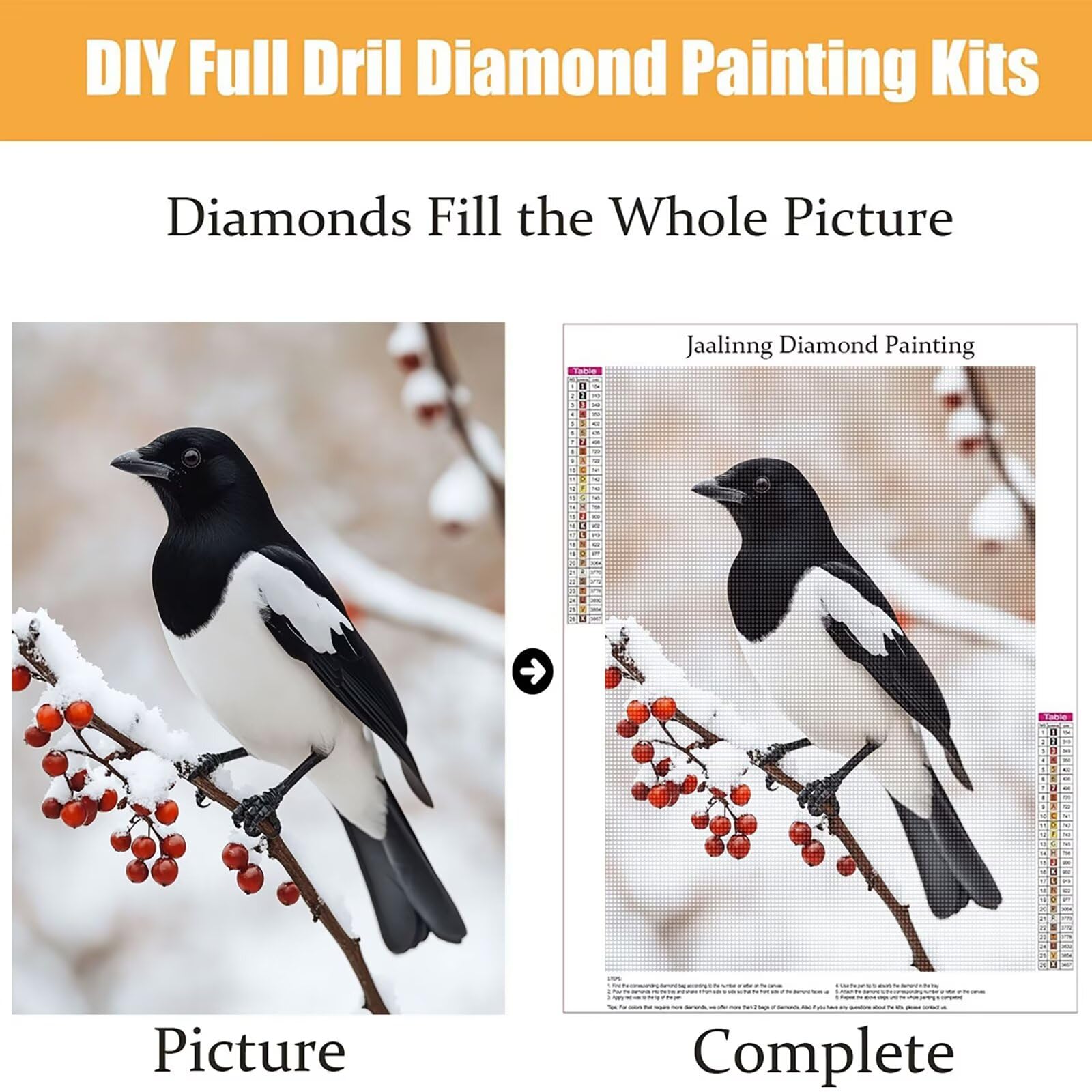 Diamond Painting Kit Completo, Diamond Painting Uccello, 5D Quadrato Pittura Diamante Kit Manualidades Adultos DIY Diamantini Crystal Art Disegni Ricamo Punto Croce Artigianale, 60x90cm Inverno j0-699