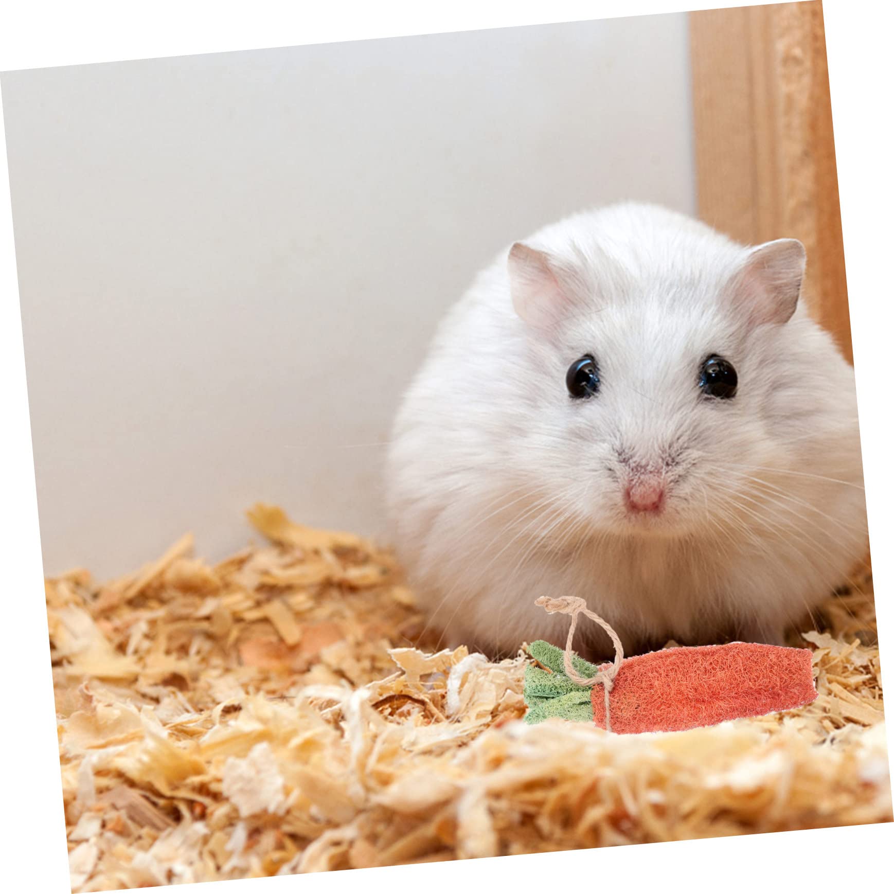 COLLBATH Jouets À Mâcher pour Petits Animaux 8 Pièces Tubes De Paille Jouets pour Lapin Hamster Chinchilla Amusant Santé Aléatoire