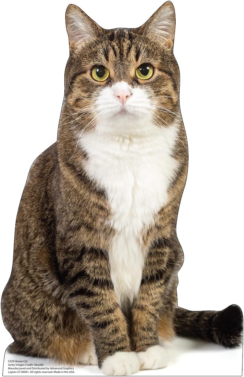 Life-Size House Cat Cardboard Cutout Standee