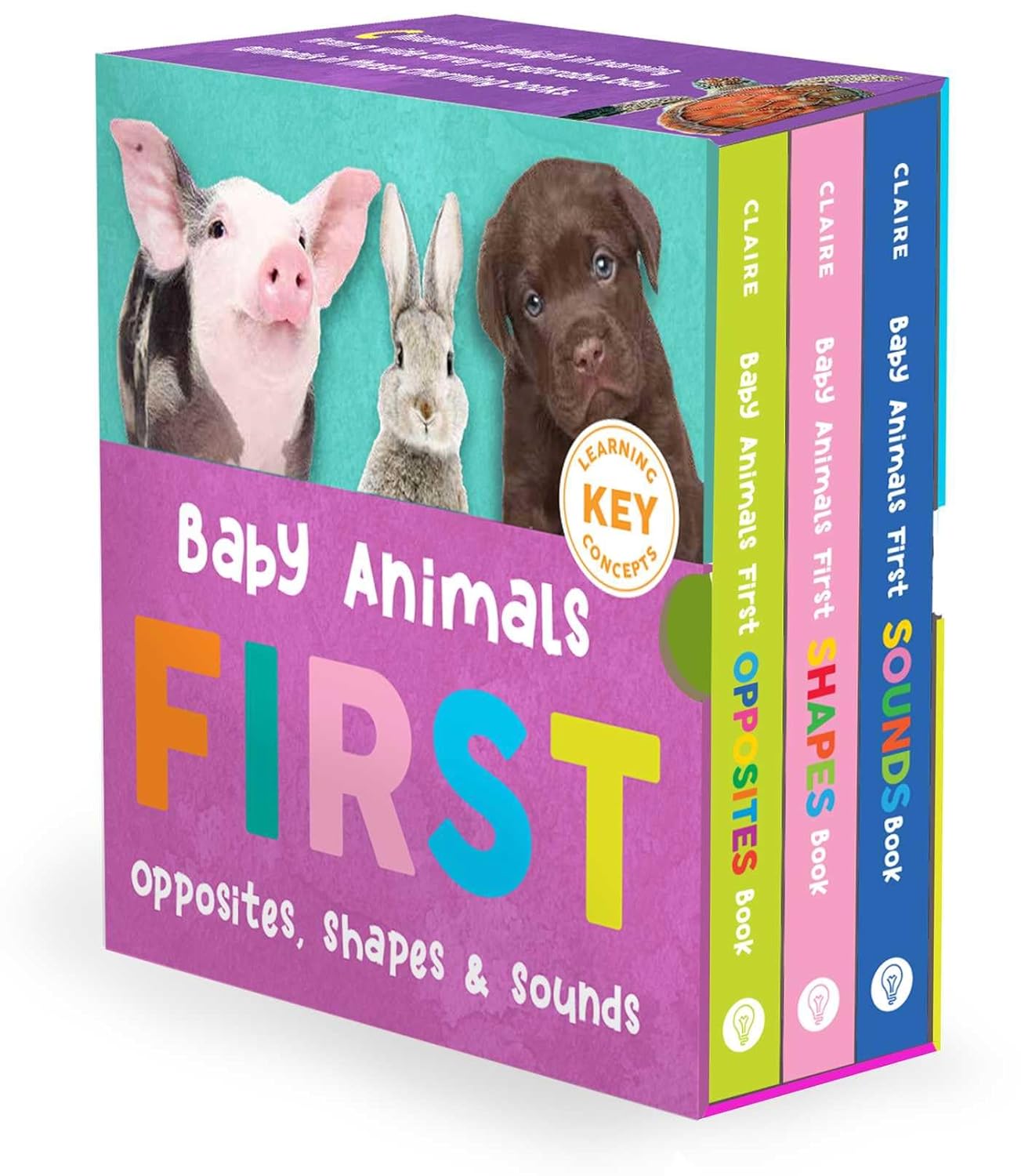 Baby Animals First Box Set Shapes, Sounds, and Opposites (Baby Animals