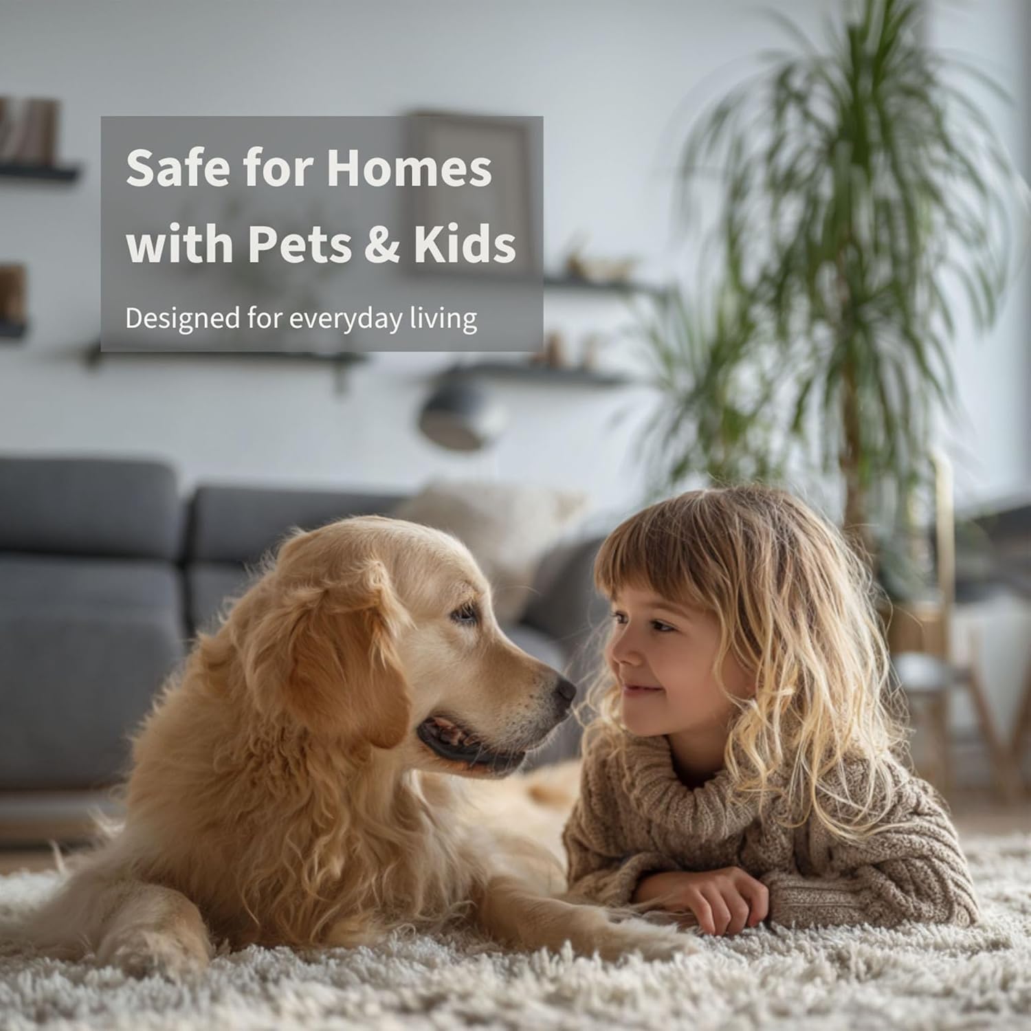 Lapew Luxury Carpet Deodorizer | Pet & Kid Safe Odor Neutralizer | Natural Carpet & Upholstery Freshener | 16 oz | It's The Season - Image 2