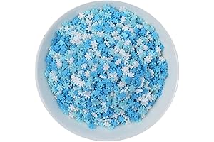 100g Resin Flatbacks Frozen Charms