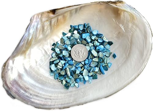 Miniatura 3 de Yew & Tulip Chips de conchas trituradas naturales irregulares, fragmentos de mosaico de nácar azul cielo, conchas de nácar para manualidades,