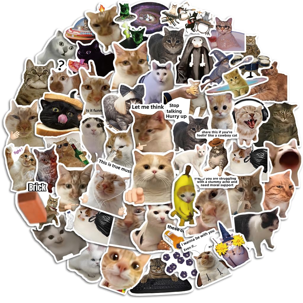 56 Lustige Katzen-Meme-Aufkleber – Wasserdichte glänzende Vinyl-Sticker, 4–5 cm, Realistische Katzenfotos mit Sprüchen & Requisiten, für Trinkflaschen, Laptops, Handys, Tagebücher