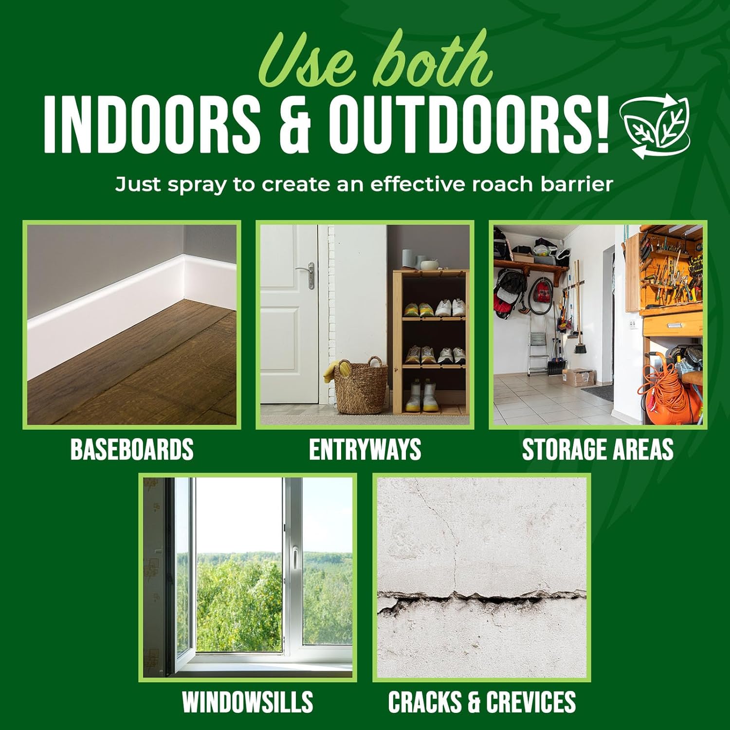 Mighty Mint Peppermint Oil Roach Repellent Spray – Natural Cockroach Killer for Indoor & Outdoor Use – Plant-Based Insect & Pest Control – 16 oz (Pack of 2) - Image 5