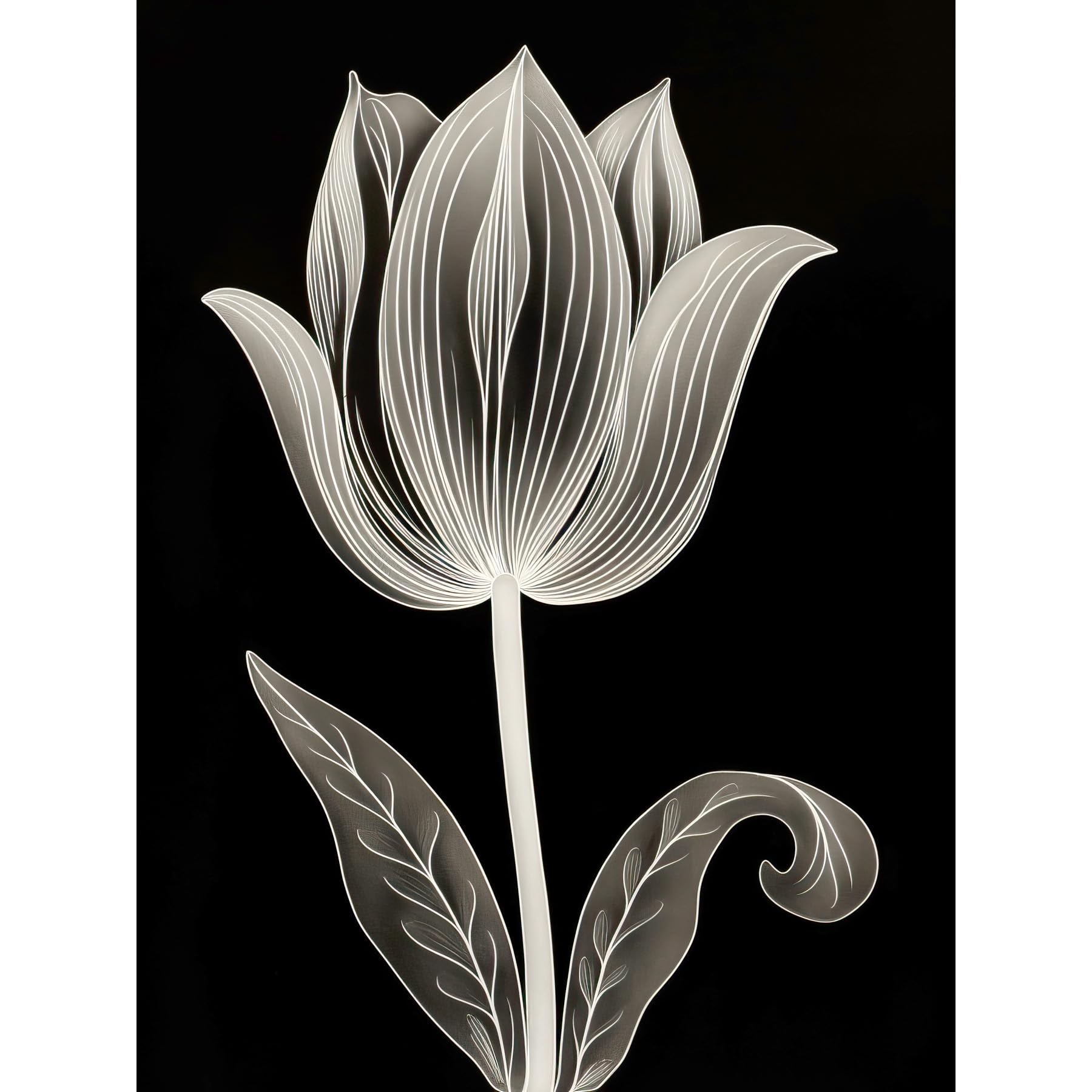 Artery8 A Single Tulip Flower Black and White Folk Art Large Wall Art Poster Print Thick Paper 18X24 Inch