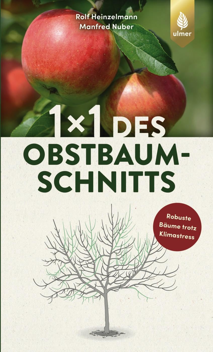 1 x 1 des Obstbaumschnitts: Bild für Bild