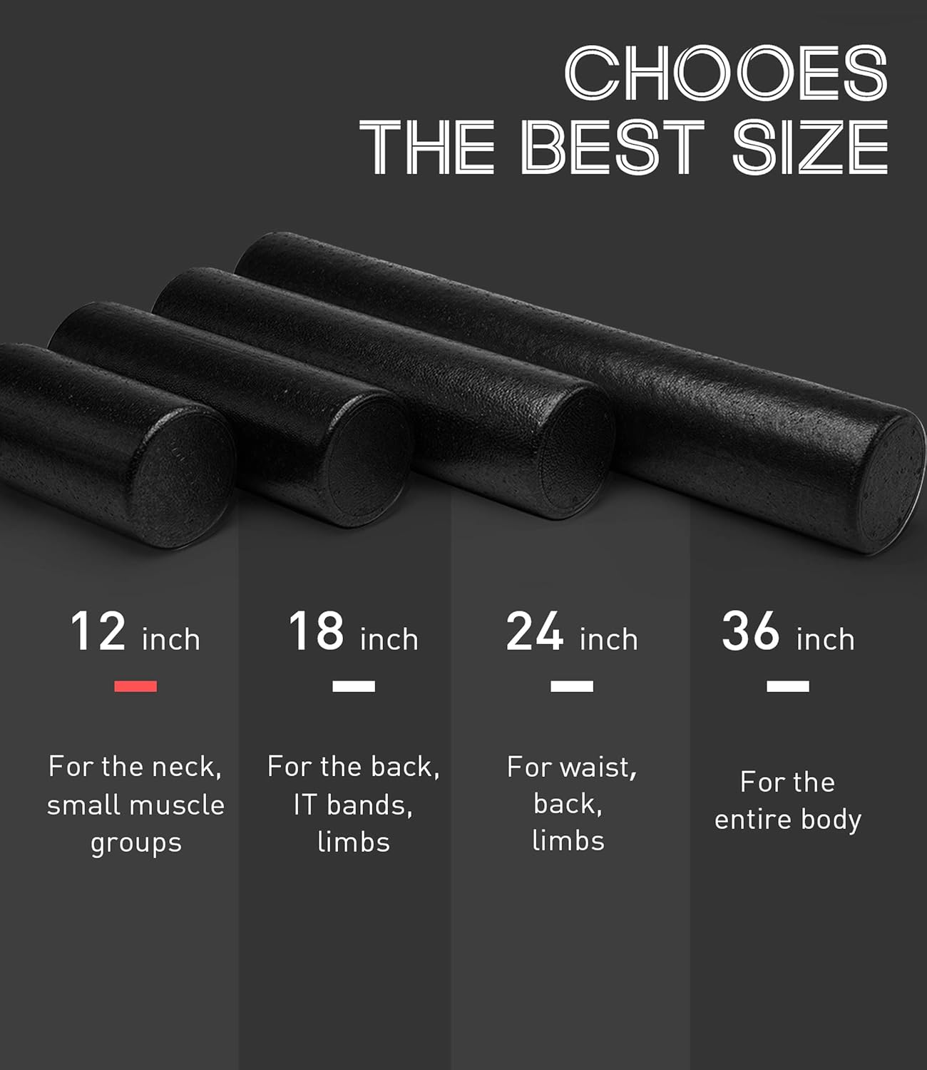 High-Density Foam Roller - Physical Therapy & Exercise, Round Fitness Back Roller for Muscles Deep Tissue Massage, Workout Guide Included by PHYLLEXI