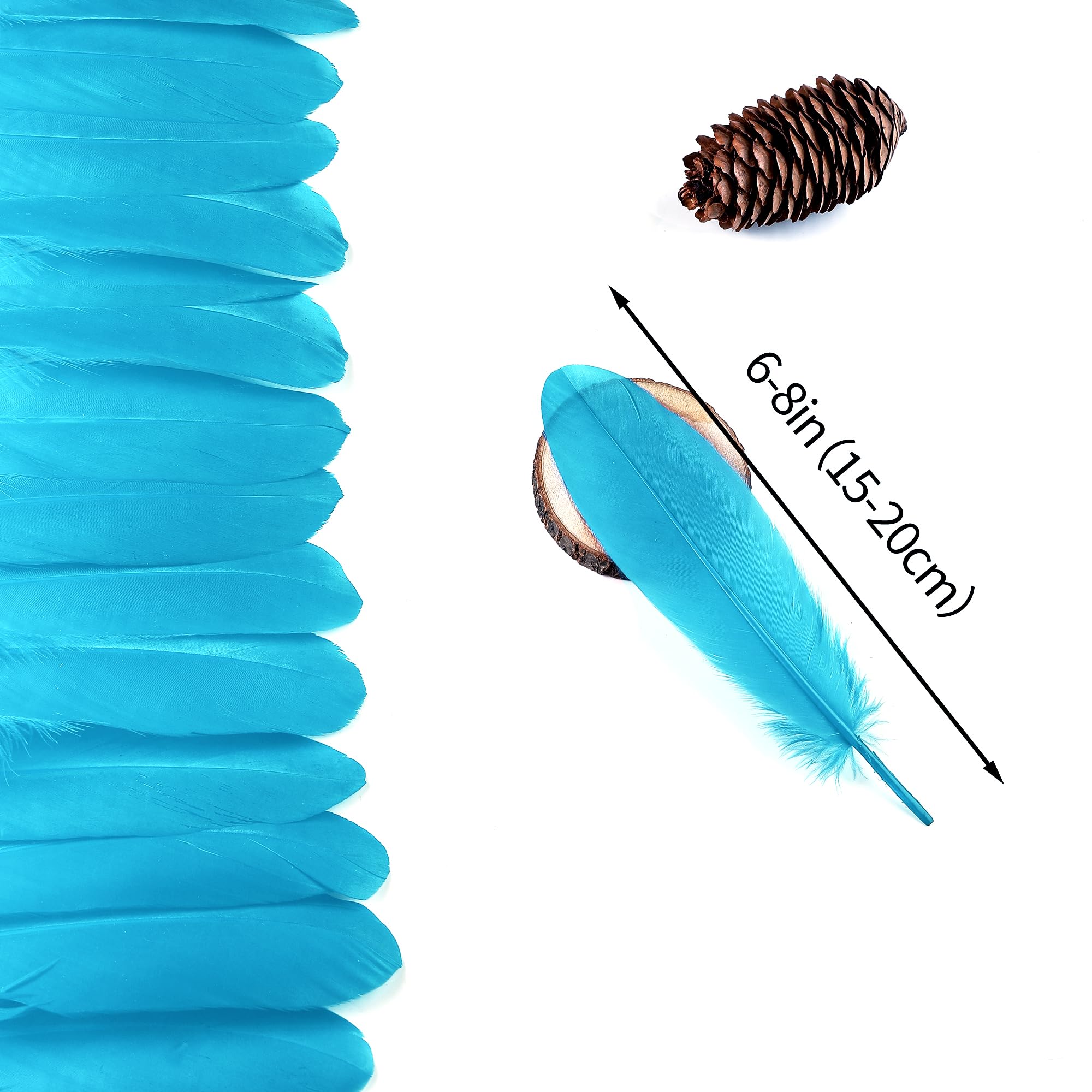 Amazon.com: Ballinger Turquoise Craft Feathers Bulk - 120Pcs 6