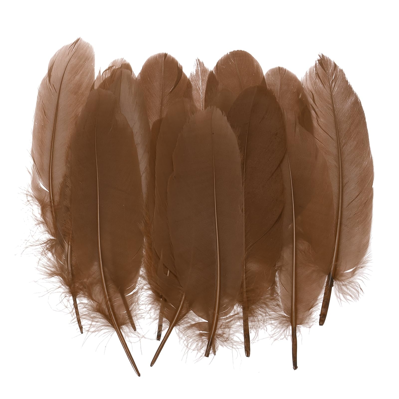 PATIKIL 4-7" Natural Goose Feathers Bulk for Crafts, 200 Pack Long Assorted Colors Feathers Decor for DIY Dream Catchers, Hats, Garland, Vase Supplies Adults Crafting, Deep Coffee
