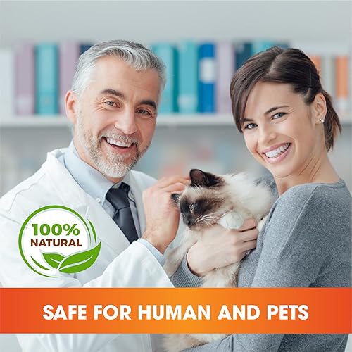 Miniatura 6 de YiXiEr Collar para gatos de 13 pulgadas, collar de gato de 12 meses, collares para gatos hechos de aceites esenciales naturales, collar impermeable