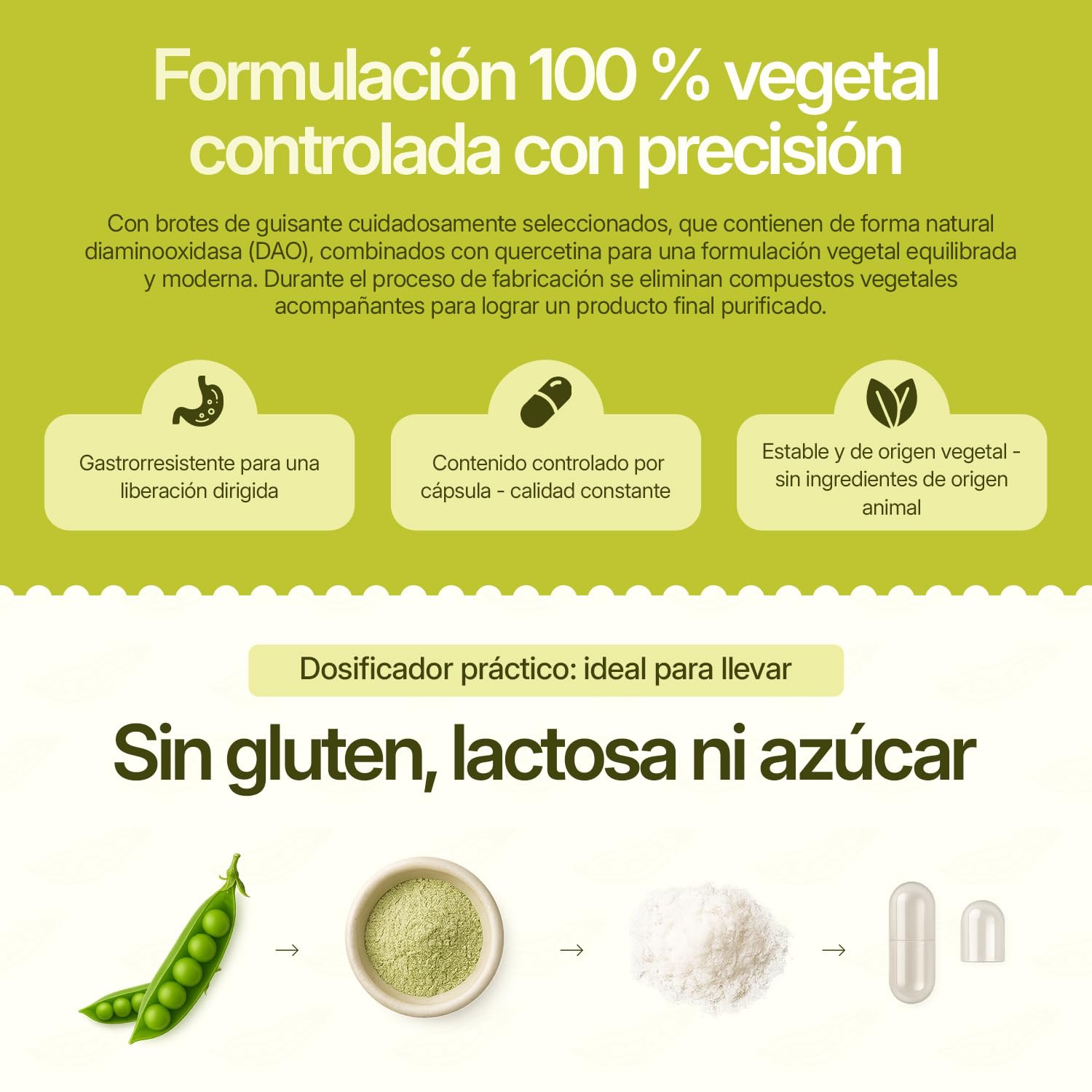 Cápsulas de Enzima DAO Veganas con Quercetina | 60 Cápsulas Gastrorresistentes de Brotes de Guisante | Alta Tolerabilidad y Liberación Dirigida en el Intestino | Actividad DAO Equilibrada