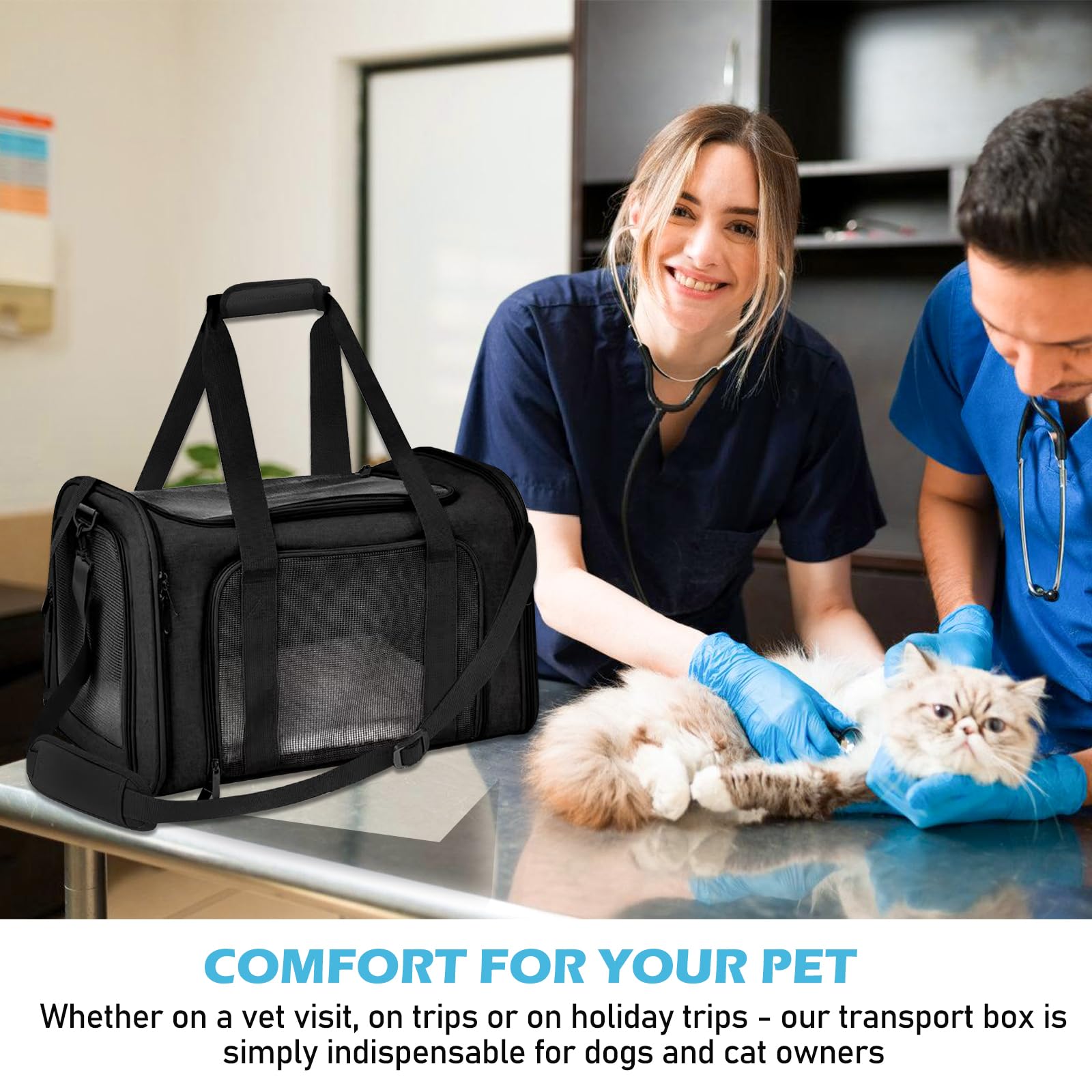 BYZESTY Transportbox Katze Hund Katzentransportbox Hundebox Faltbar Hundetransportbox Katzen Transportboxen Hundetasche Katzenbox Katzentransporttasche Inkl. Hundenapf, 42 x 27 x 28 cm (Schwarz 2)