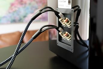 SVS SoundPath Ultra Bi-Wire Speaker Cable with Banana Connectors Each (10 ft.)