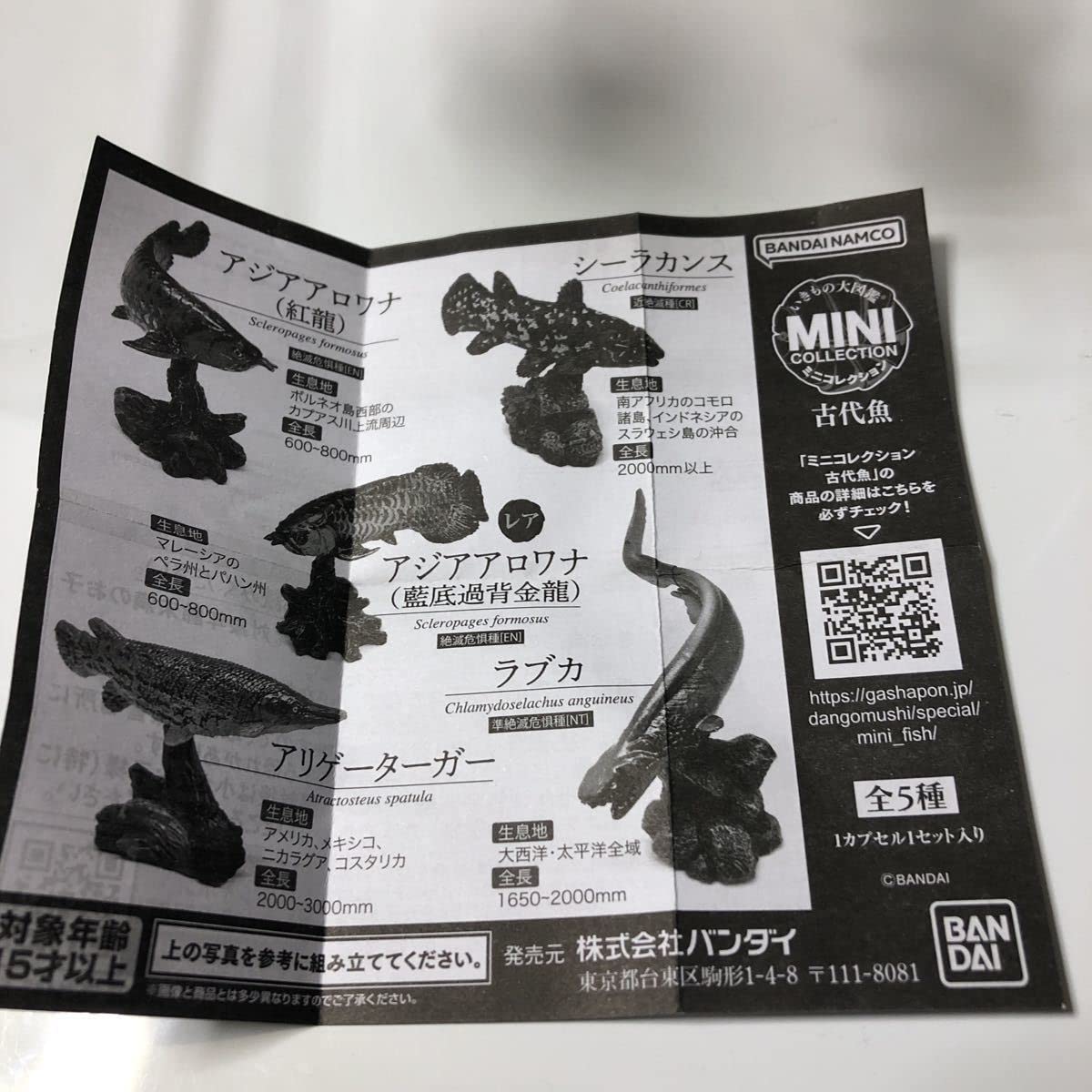 いきもの大図鑑ミニコレクション 古代魚 シーラカンス1種単品