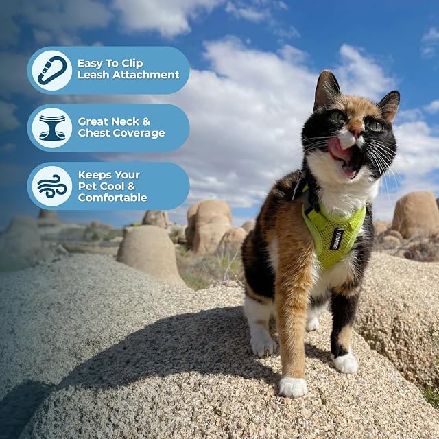 Foto 5 de 8 de Best Pet Supplies Voyager Step in Lock