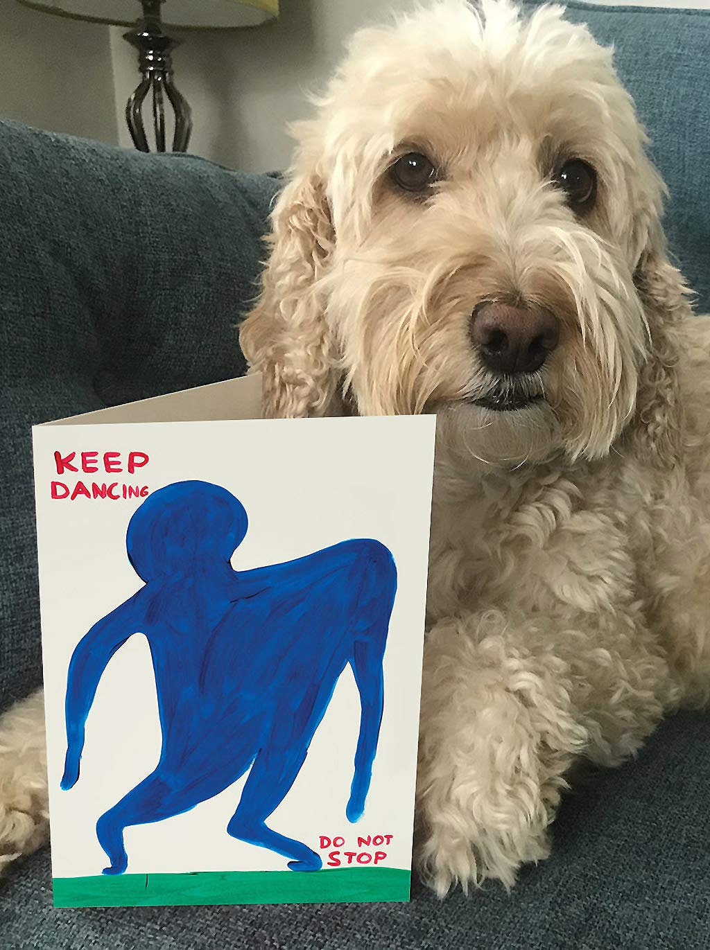 David Shrigley – Cartes D'anniversaire Humoristiques – Carte Altenative Humour – Carte « Pieuvre Dessin » – Parfait Pour Les Amis, Lui, Elle, Petit