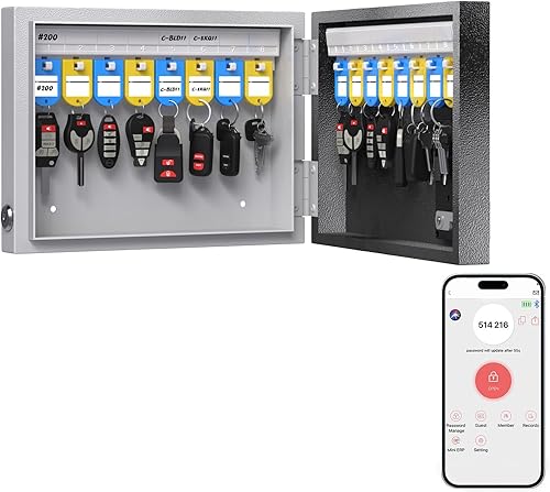WeHere Caja de bloqueo de 16 llaves para montaje en pared, aplicación BluetoothOTPWi-FiCódigo fijodesbloqueo de llaves, gabinete inteligente para