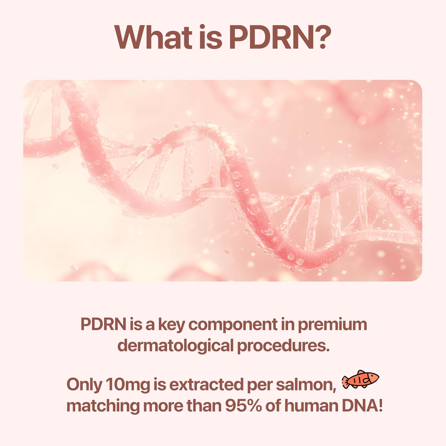 PDRN Ampoule and PDRN Cream, CUSKIN Korean Skin Care with Salmon DNA, Plant Based Bakuchiol, Moisturizing Bifida