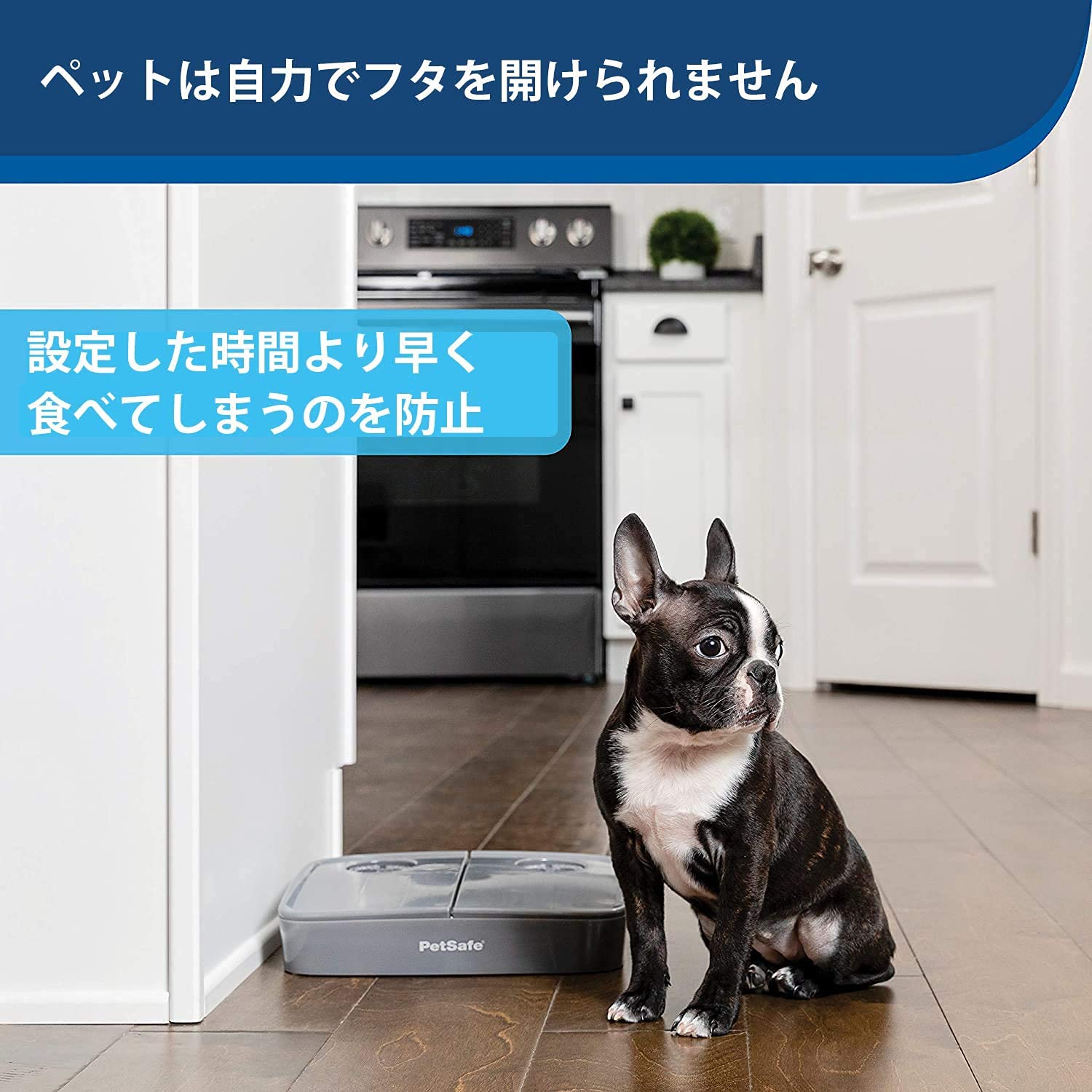 Amazon | PetSafe（ペットセーフ）犬猫用 自動給餌器 おるすばん