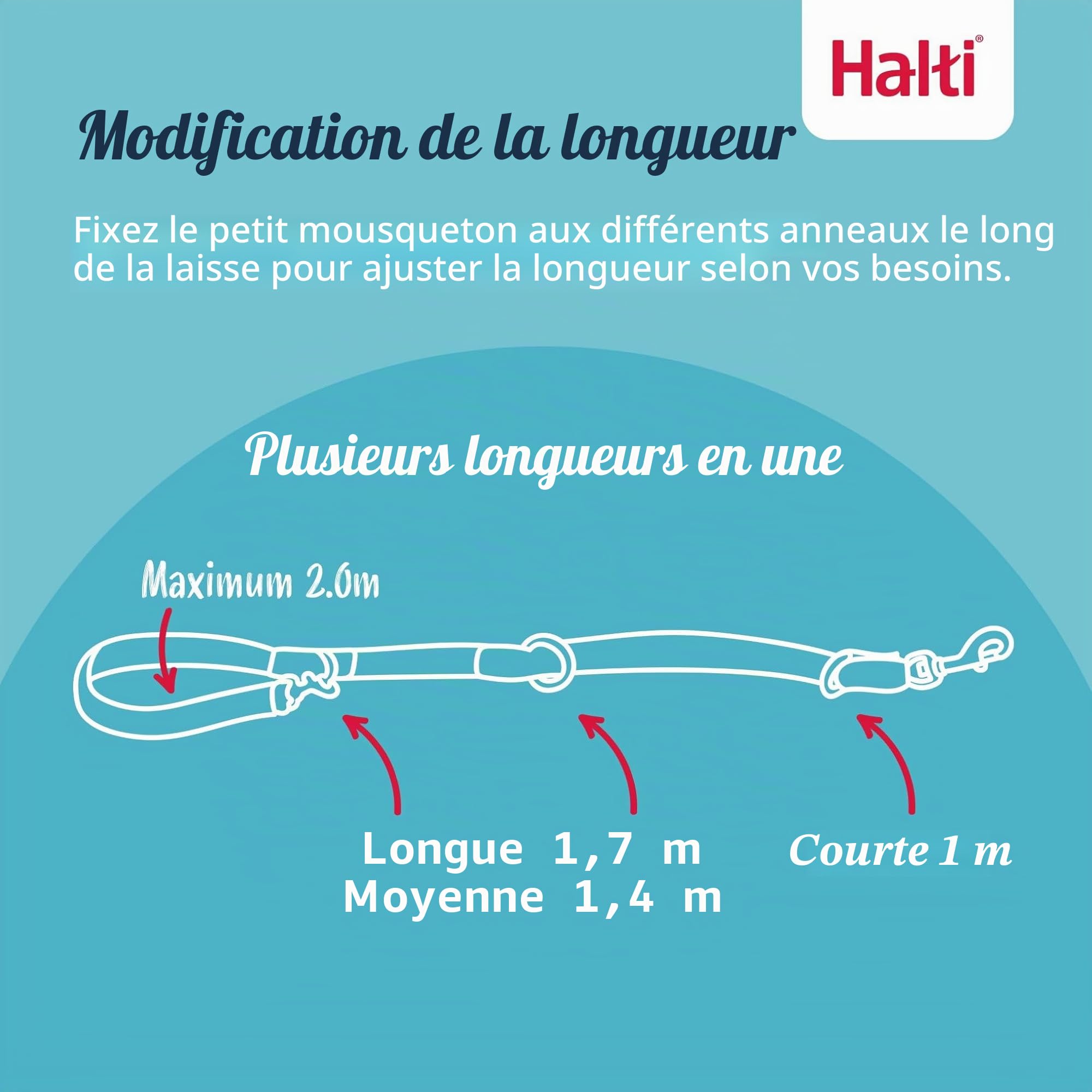 HALTI Harnais anti-traction Taille M & HALTI Laisse d'entraînement Taille L Noir Pack combiné – Empêche votre chien de tirer sur la laisse. Réglable, léger et facile à utiliser. Convient aux chiens de