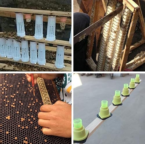 Miniatura 5 de Queen Bee - Taza de cría de abejas, 46 unidades, ligera, práctica, jaula de abeja para apicultura, apicultura, soporte de vasos de celda de reina,