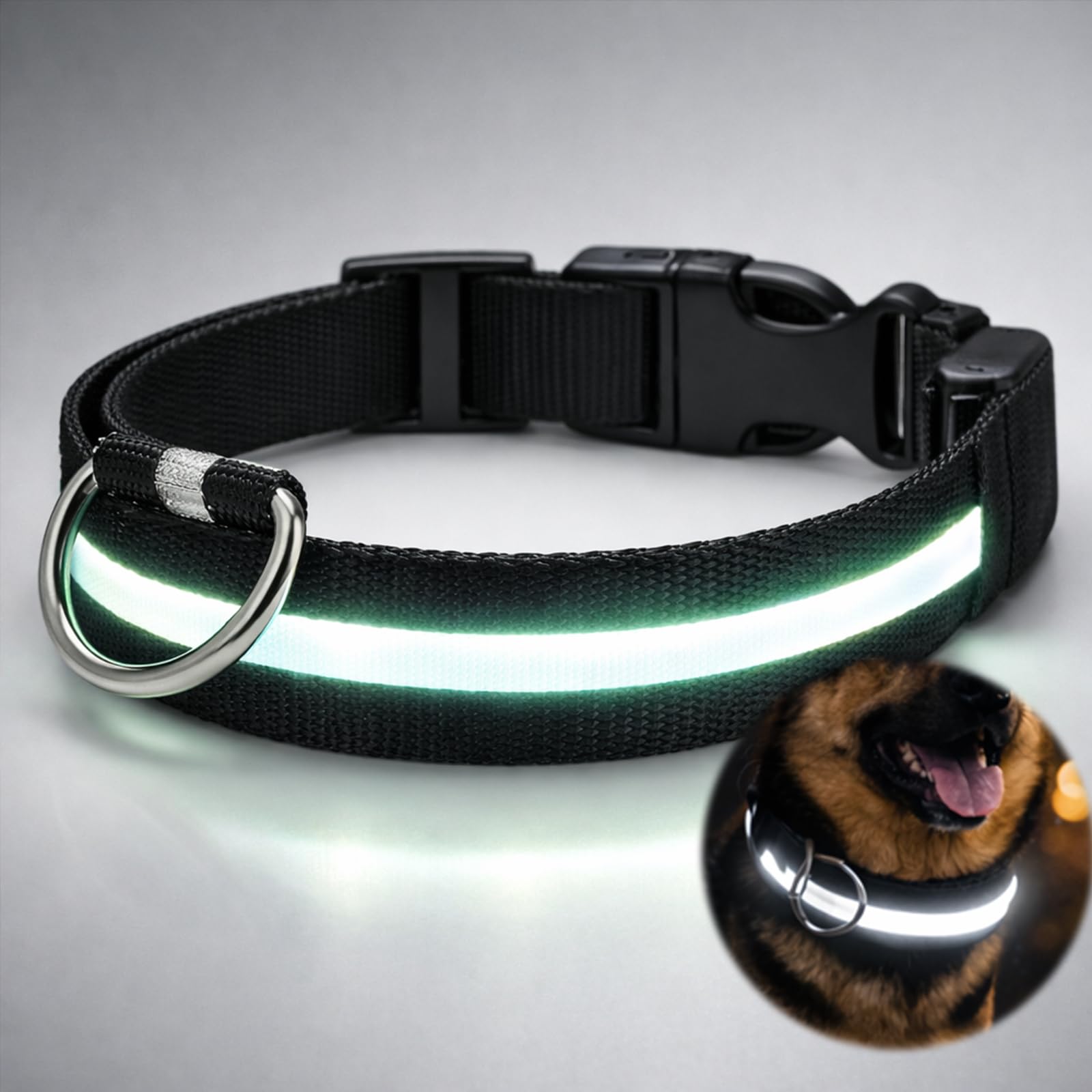 Rechargeable Reflective Light Up Dog Collar, Adjustable Black, 1-Pack