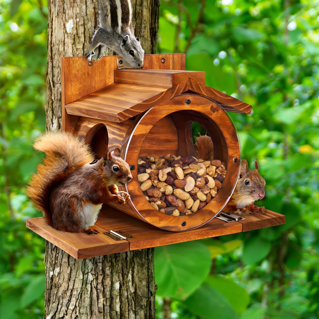 Eichhörnchen Futterhaus Wetterfes mit Runden Transparentes, Futterstationen für Eichhörnchen, 2 Eingänge & Sitzplattformen, Eichhörnchen Futterstation zum Aufhängen mit Belüftungslöchern