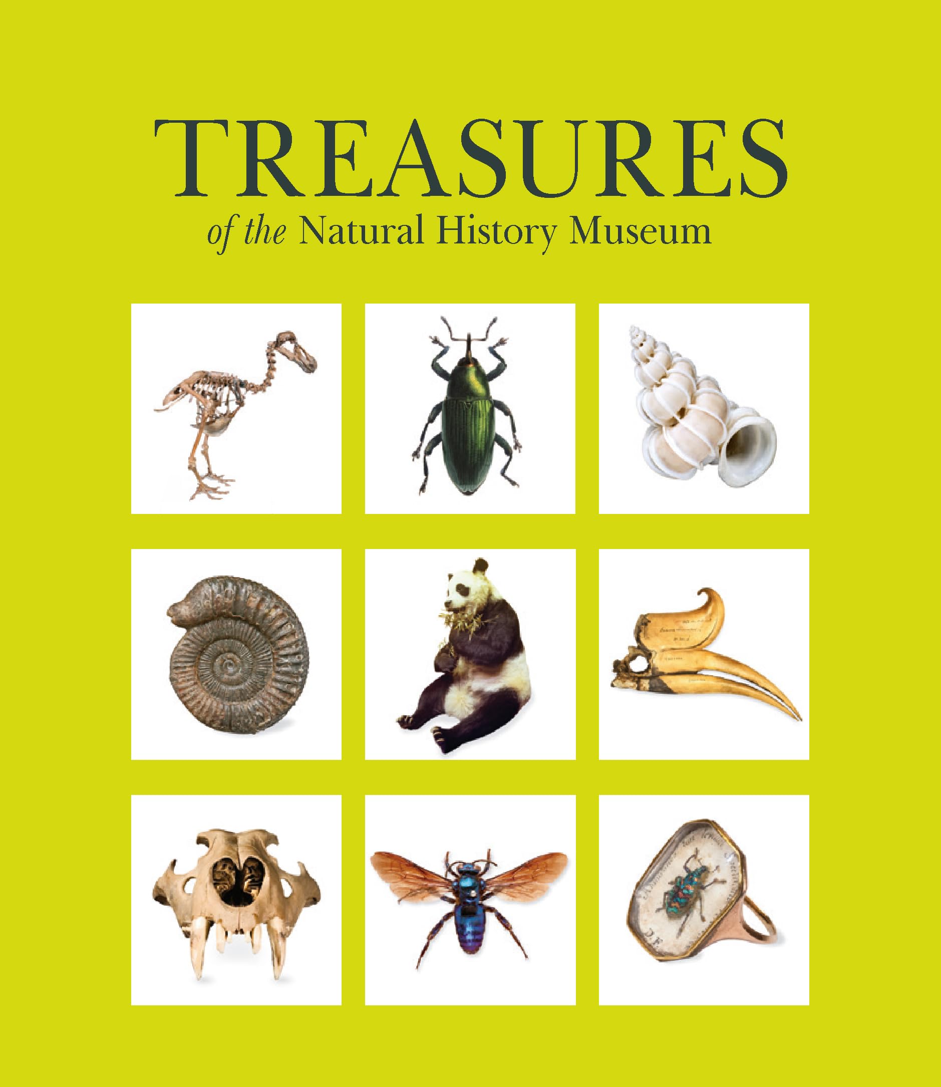 Treasures of the Natural History Museum: (Pocket edition).by Museum New**