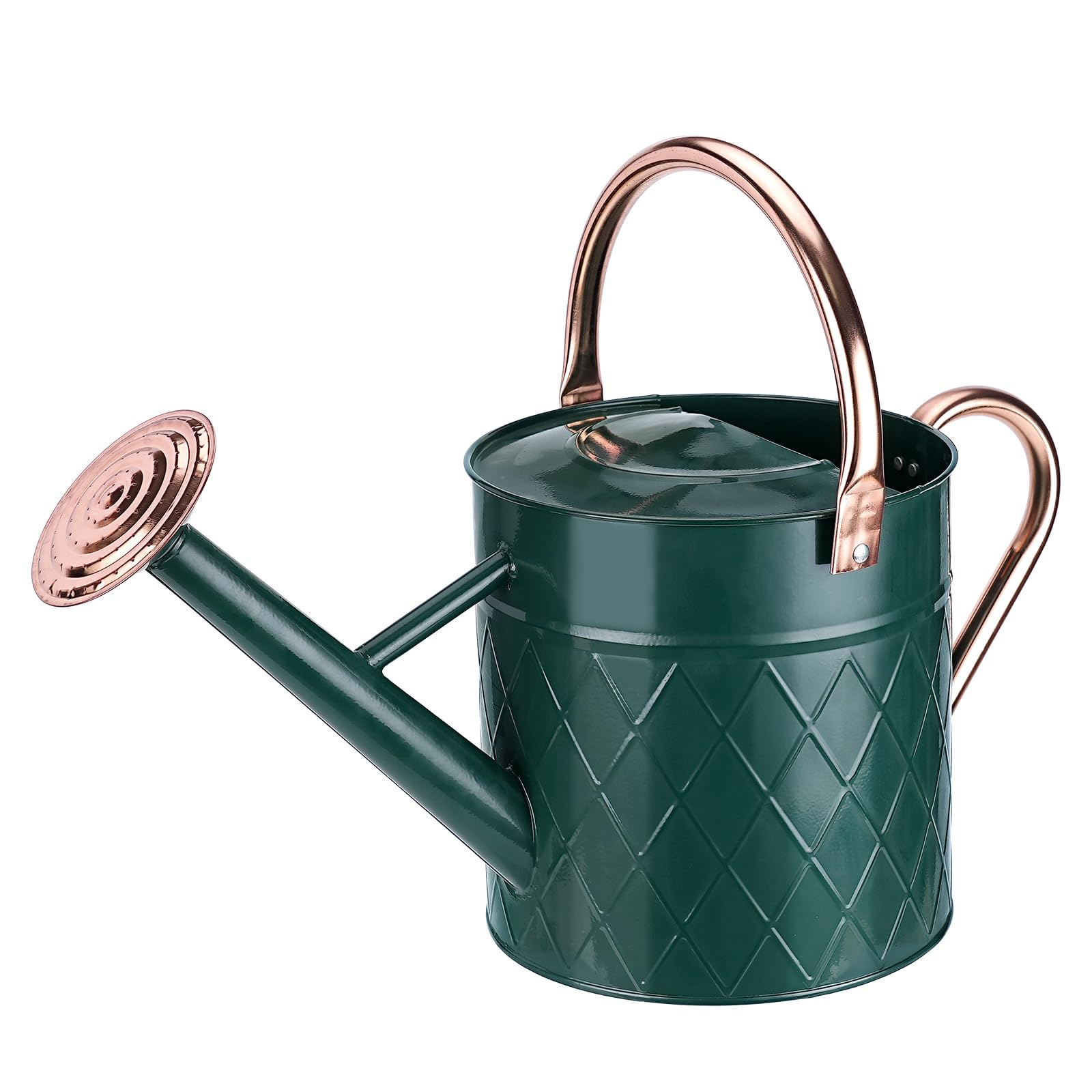 Gießkanne aus Metall für den Außenbereich, für Gartenpflanzen, Vintage-Zink-Gießkanne mit abnehmbarem Sprühausguss, ideal für den Außenbereich (Grün)