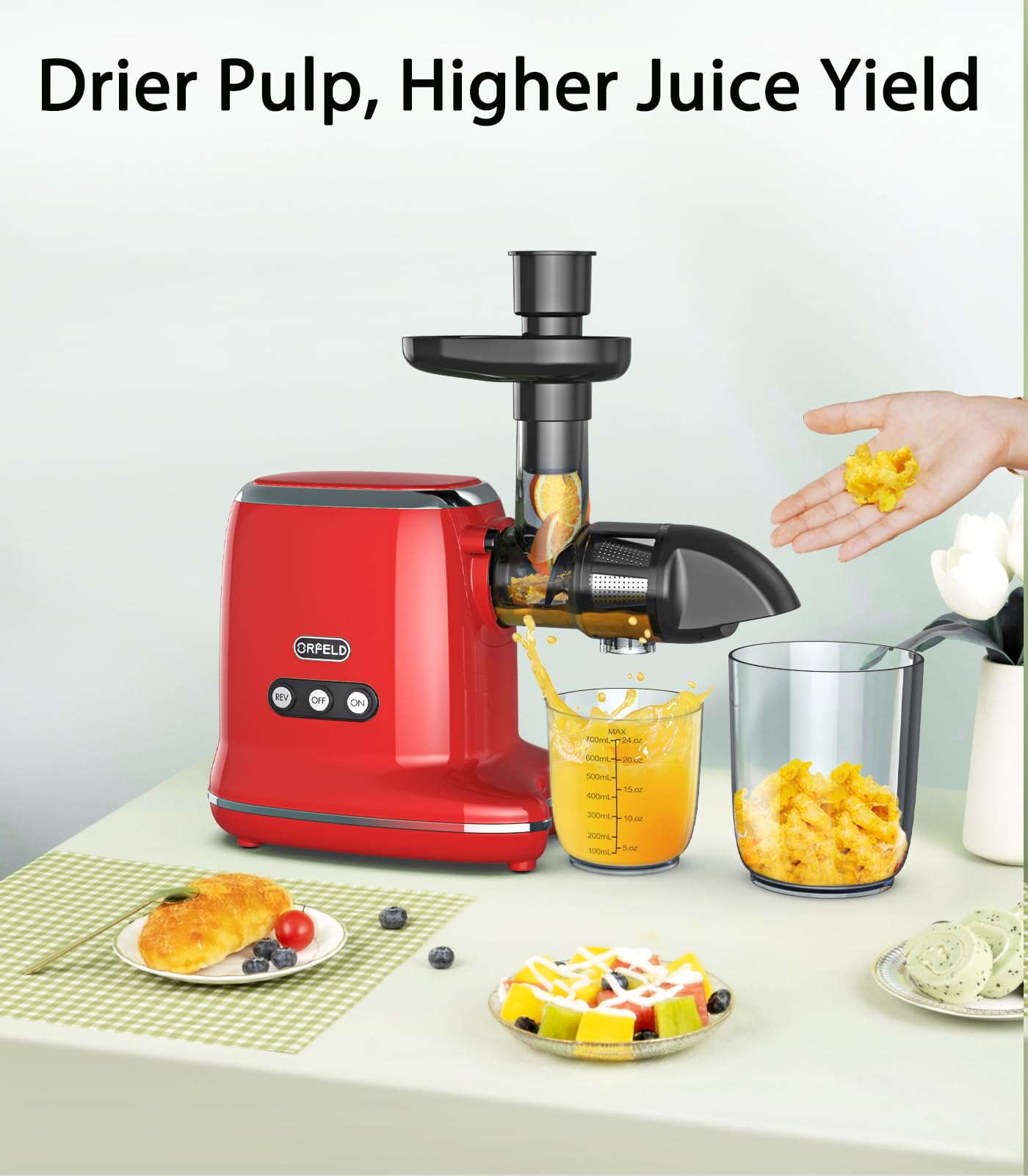 https://m.media-amazon.com/images/I/71otRSB+FAL.jpg