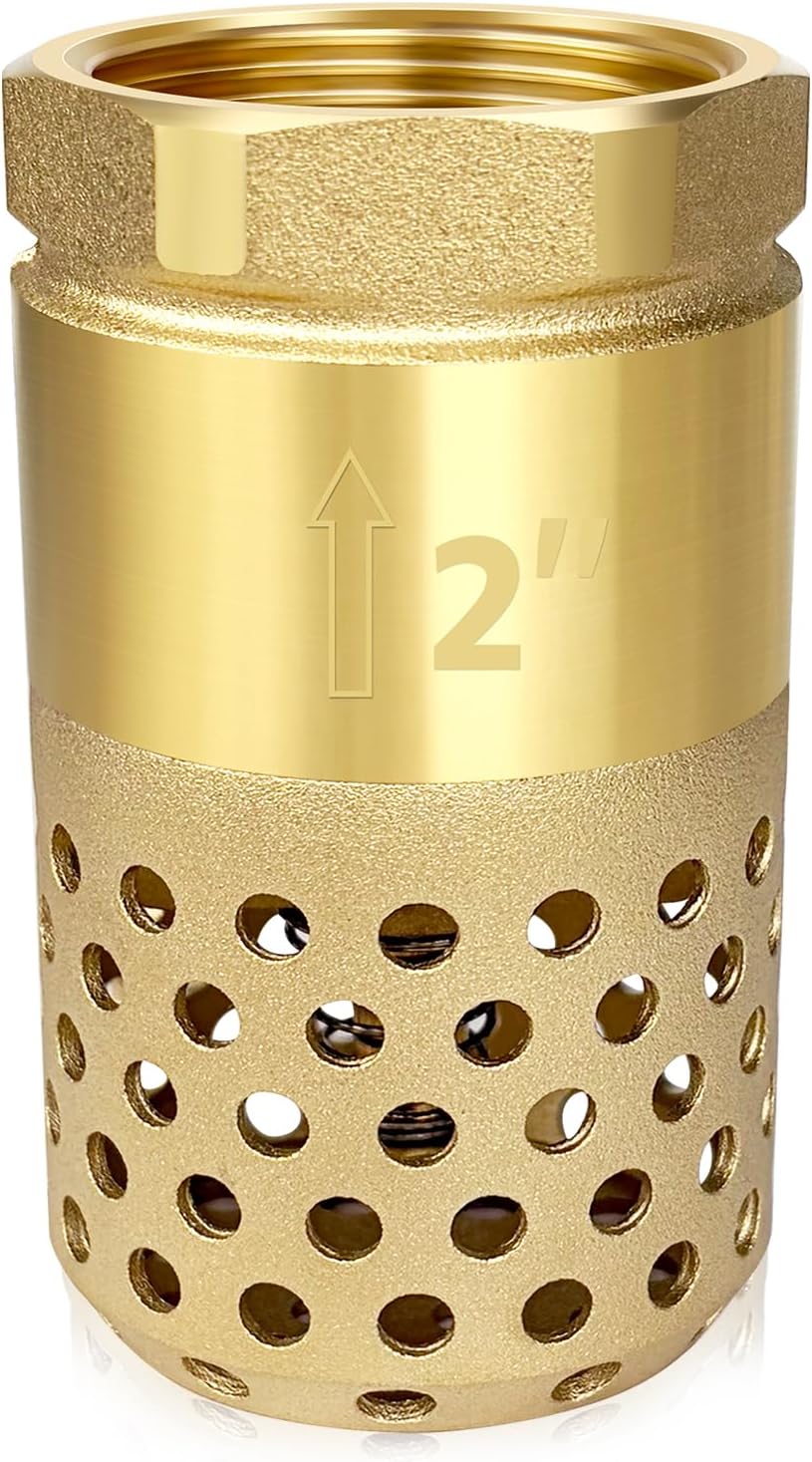Brass Foot Valve, 2 inch NPT Spring Mesh Check Valve Female Connection One Way Foot Valve Backflow Preventer with Holes Strainer Filter(2'' NPT)