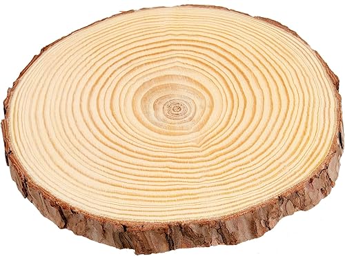 Miniatura 4 de 10 piezas de rebanadas de madera de pino natural de 6.3 a 7 pulgadas, discos de madera sin terminar de 0.6 pulgadas de grosor para adornos de