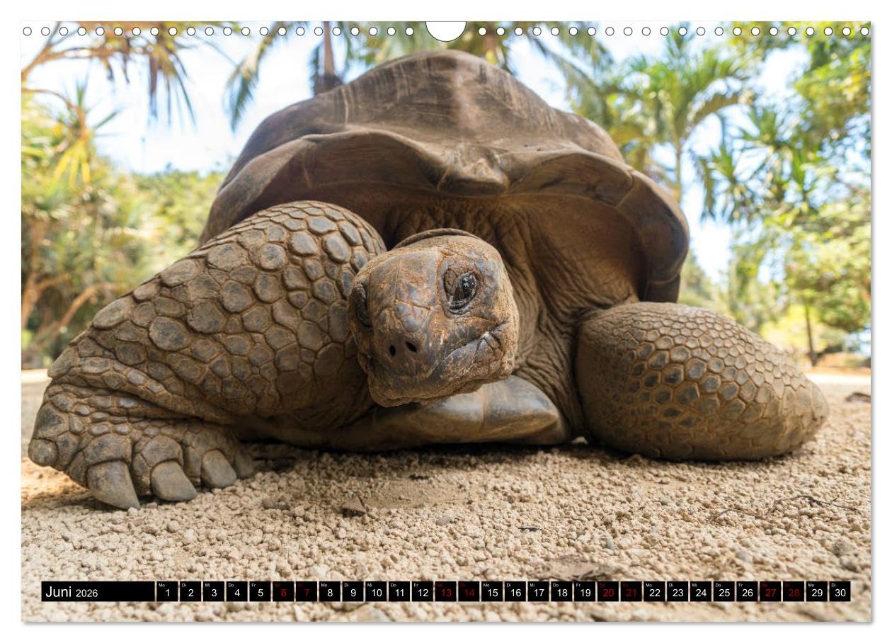 Trauminsel Mauritius (Wandkalender 2026 DIN A3 quer), CALVENDO Monatskalender: Die Trauminsel im Indischen Ozean in einem farbenfrohen Kalender vom Reisefotografen Peter Schickert. (CALVENDO Orte)