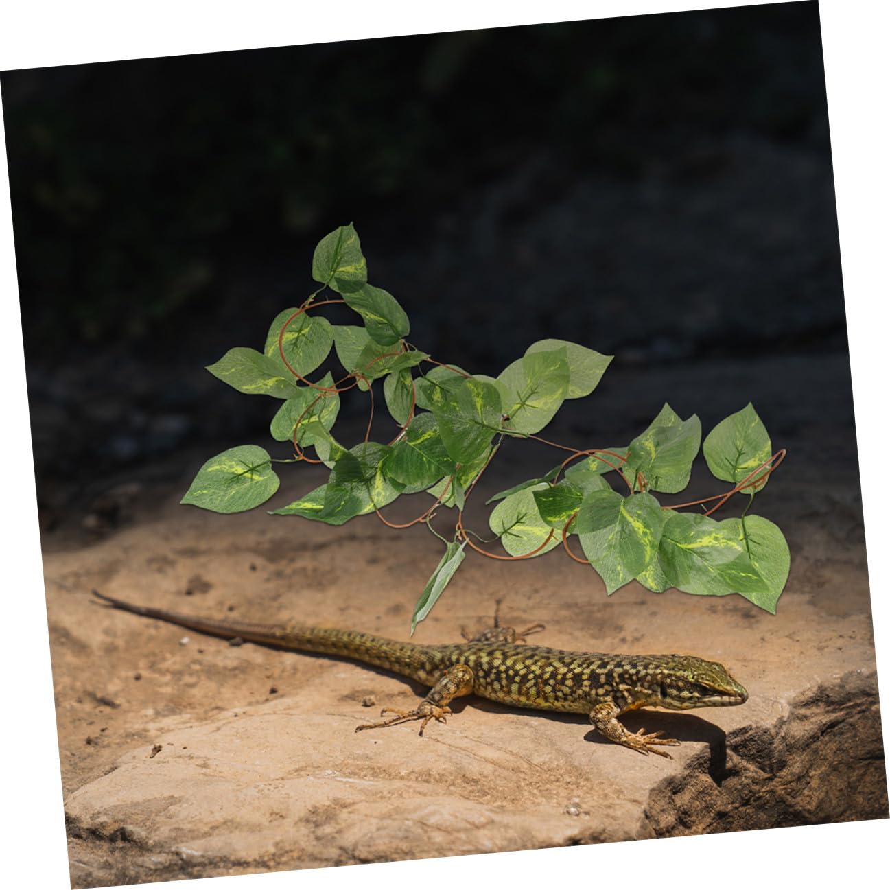 6piezas Plantas de Reptiles para Terrario Enredaderas Colgantes Artificiales de Plástico Decoración para Terrarios de Serpientes